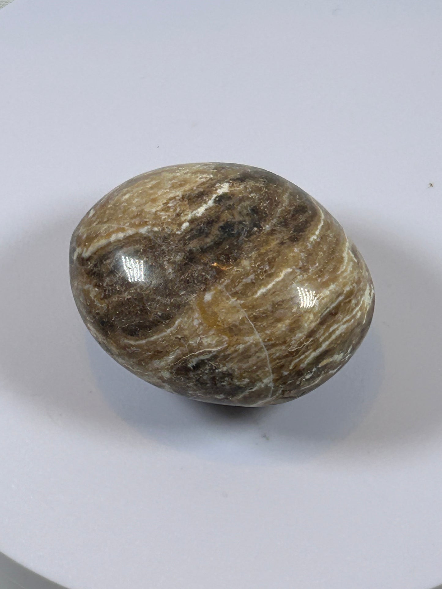 (#102) - BROWN ARAGONITE PALM STONE POLISHED - NEW