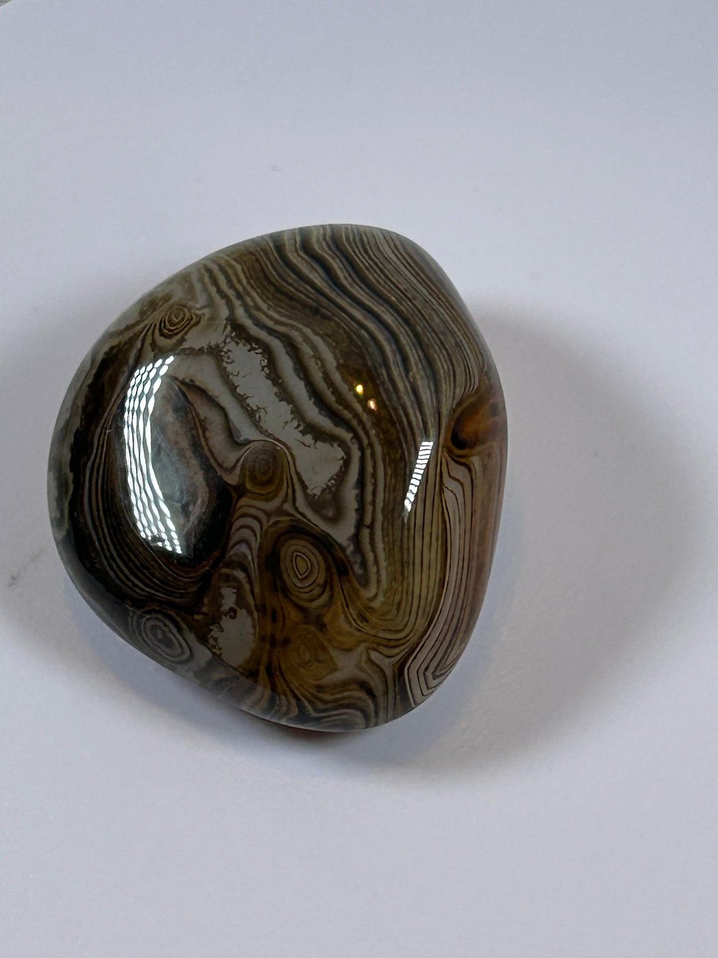 (#110) - SARDONYX PALM STONE POLISHED - NEW