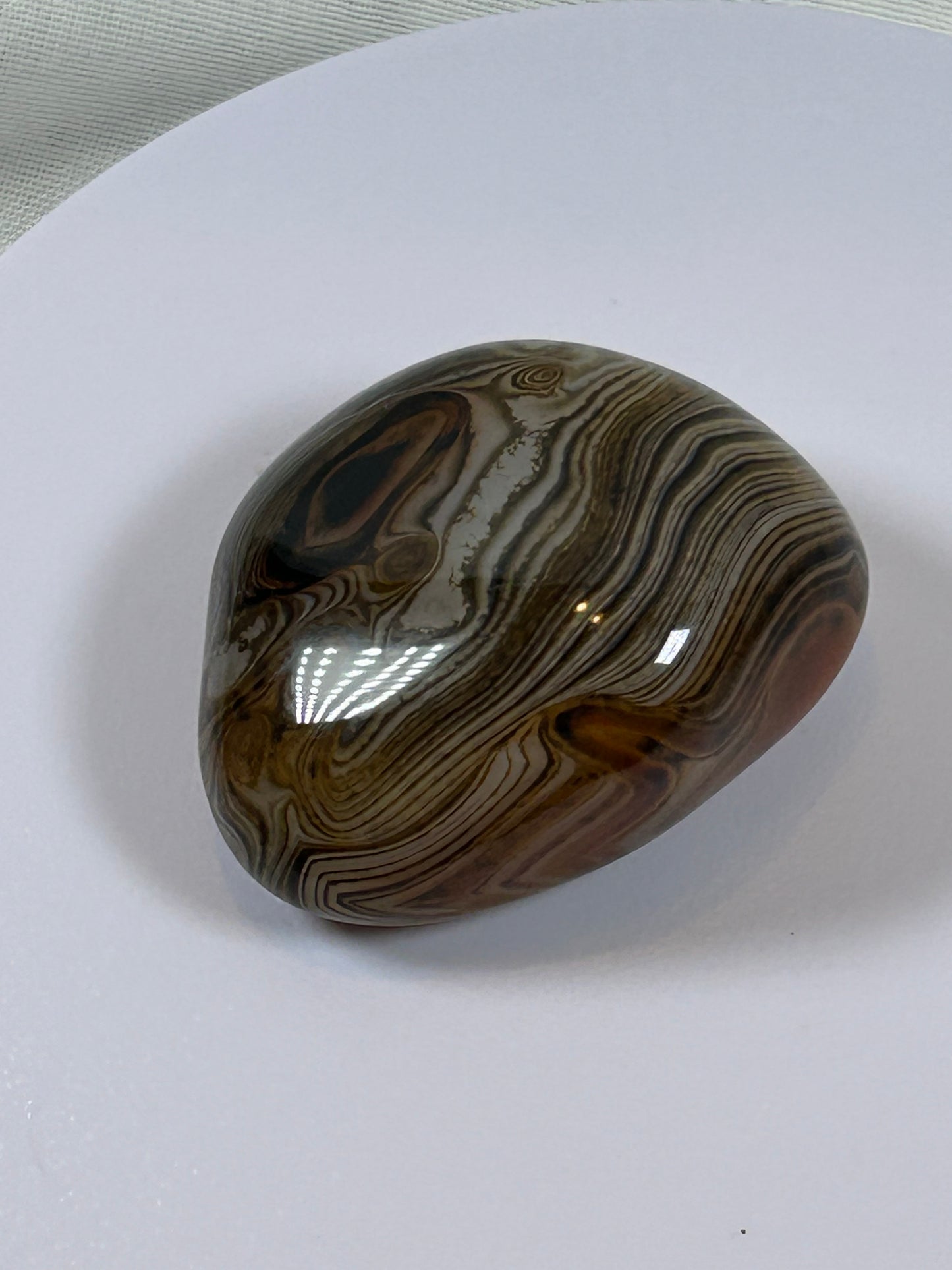 (#110) - SARDONYX PALM STONE POLISHED - NEW