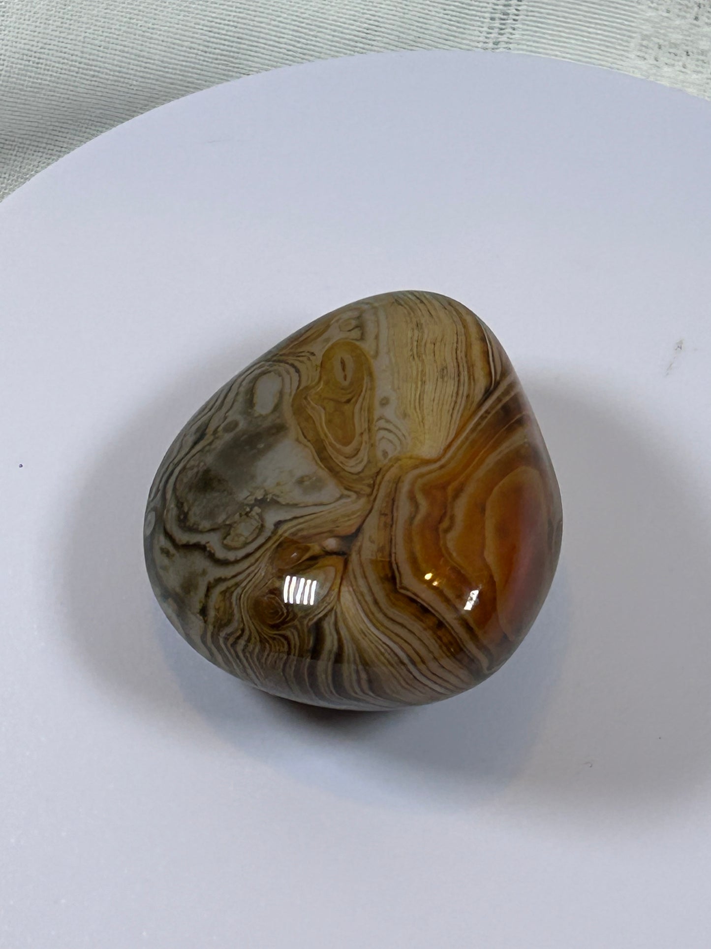 (#110) - SARDONYX PALM STONE POLISHED - NEW