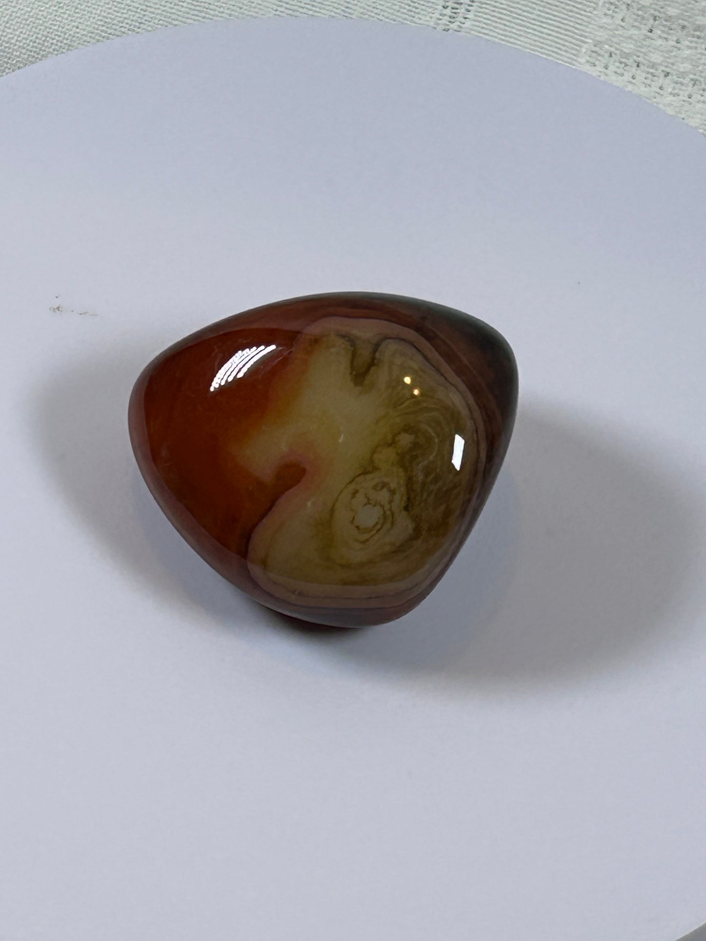 (#115) - CARNELIAN PALM STONE POLISHED - NEW