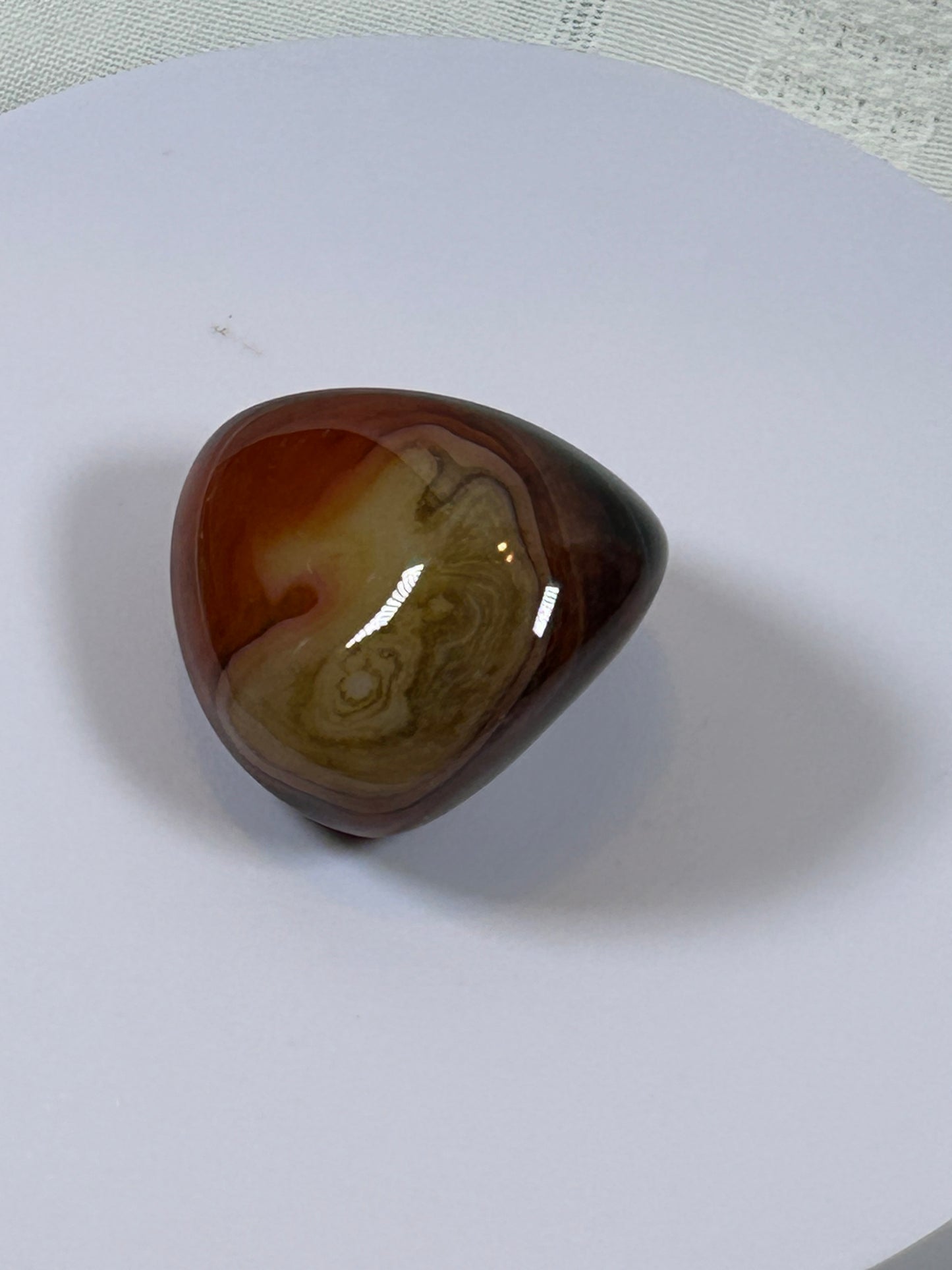 (#115) - CARNELIAN PALM STONE POLISHED - NEW