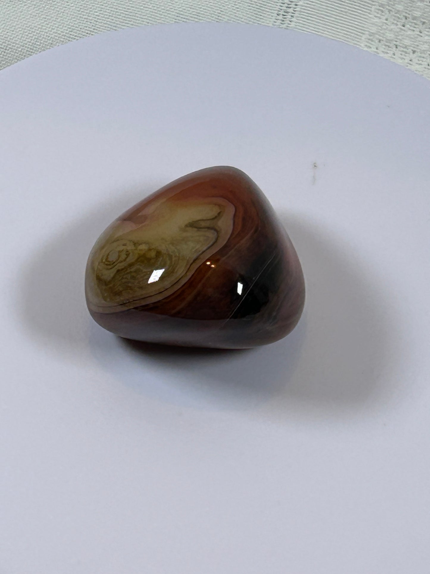 (#115) - CARNELIAN PALM STONE POLISHED - NEW