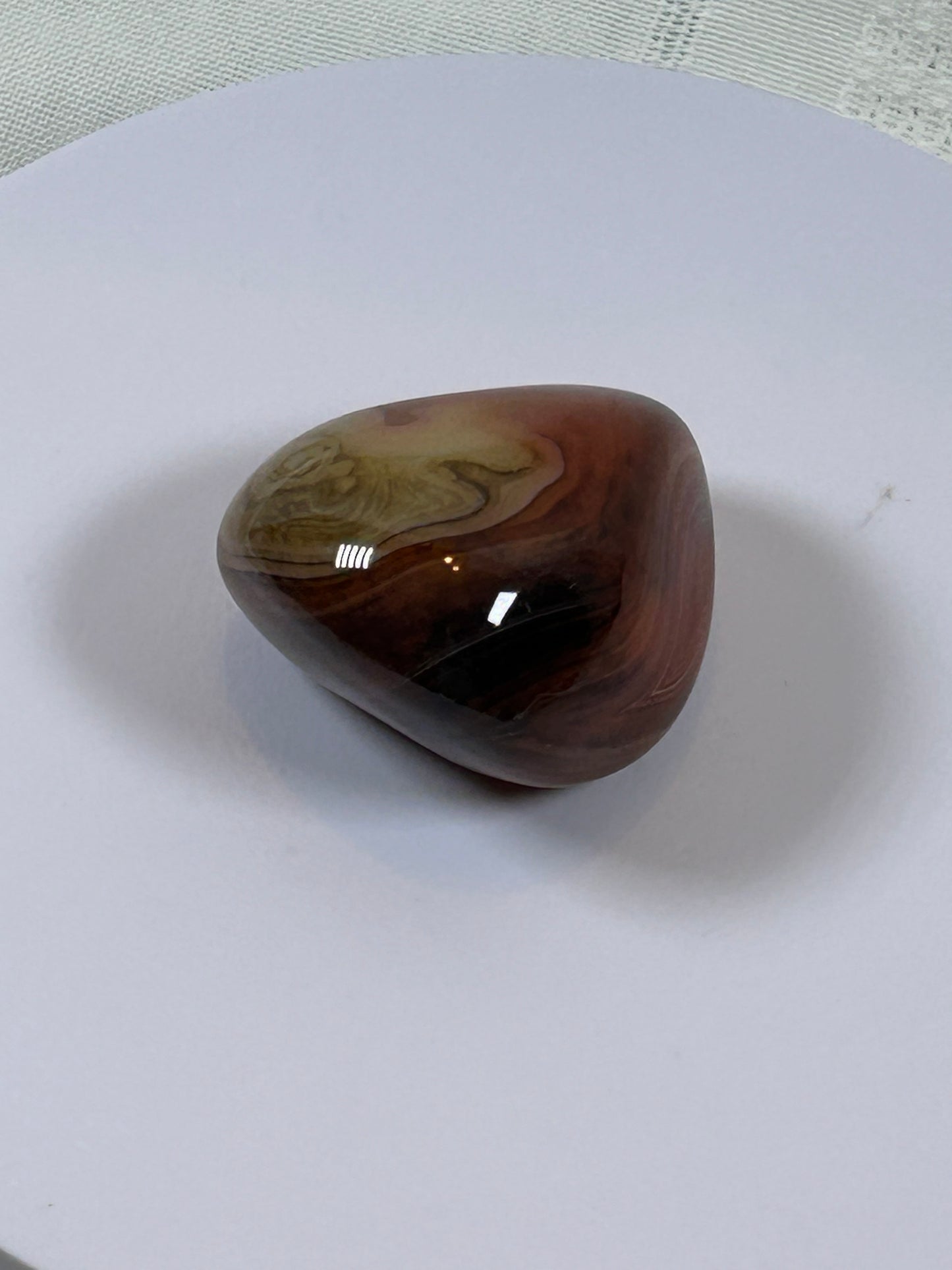(#115) - CARNELIAN PALM STONE POLISHED - NEW
