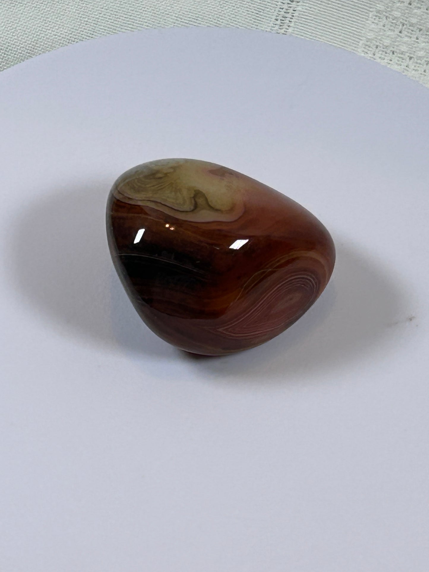 (#115) - CARNELIAN PALM STONE POLISHED - NEW