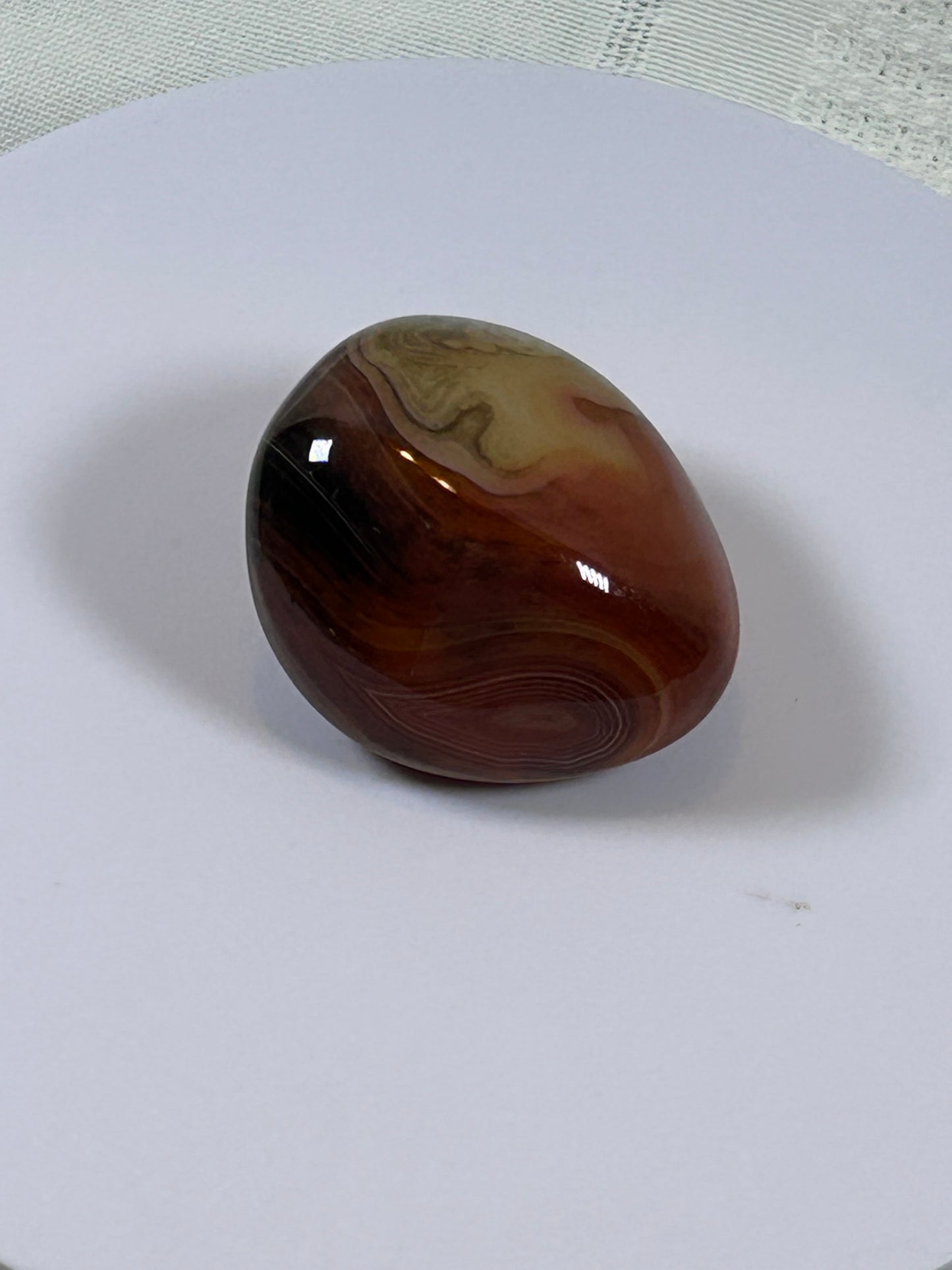 (#115) - CARNELIAN PALM STONE POLISHED - NEW