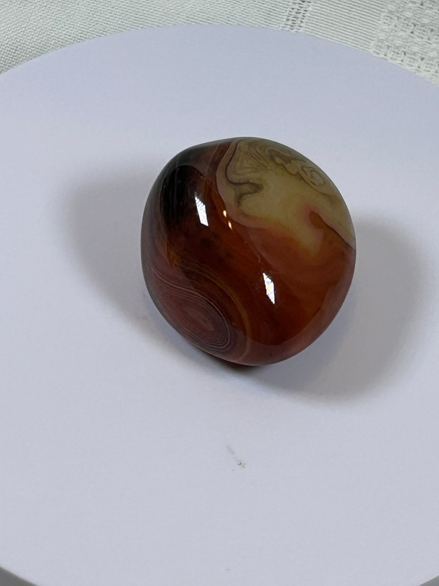 (#115) - CARNELIAN PALM STONE POLISHED - NEW