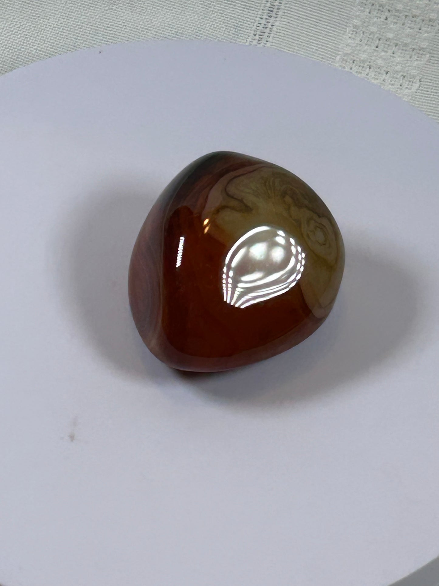 (#115) - CARNELIAN PALM STONE POLISHED - NEW