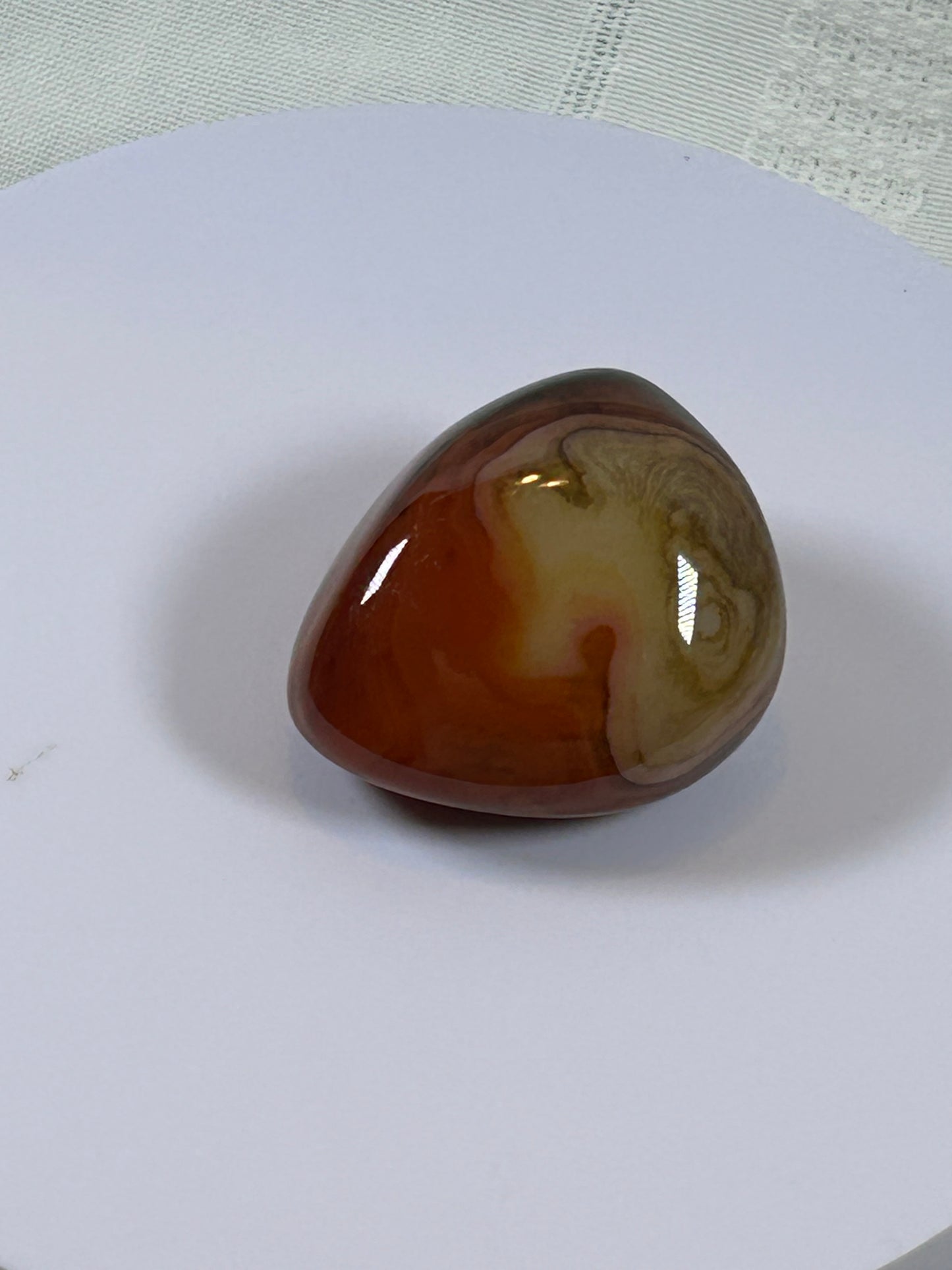 (#115) - CARNELIAN PALM STONE POLISHED - NEW
