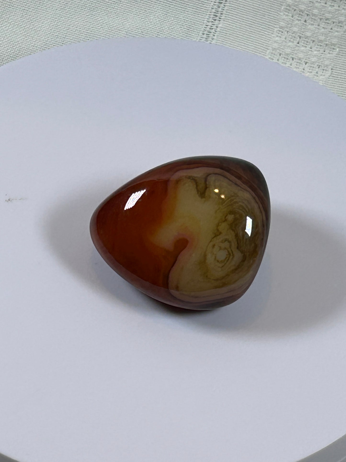 (#115) - CARNELIAN PALM STONE POLISHED - NEW