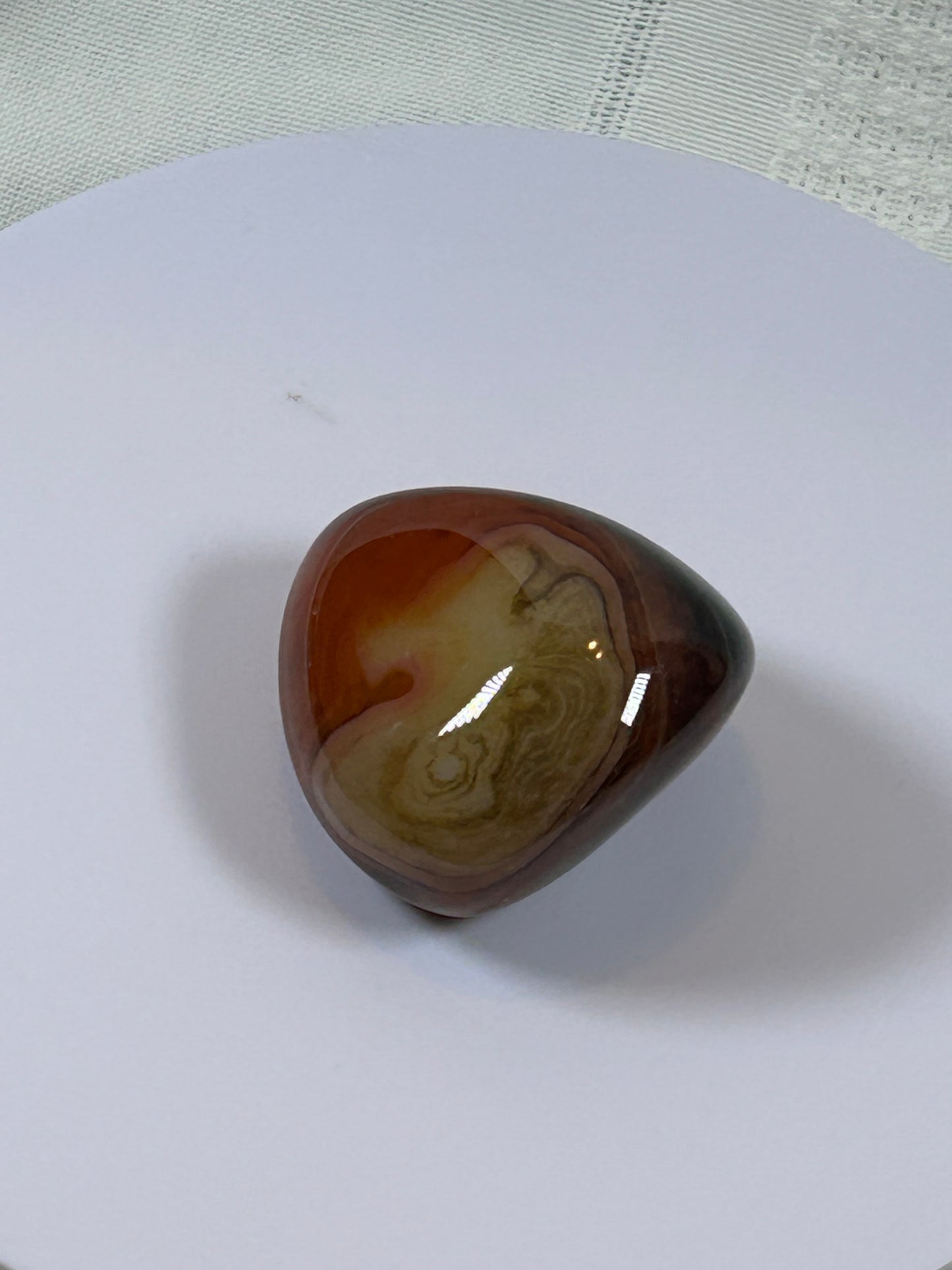 (#115) - CARNELIAN PALM STONE POLISHED - NEW