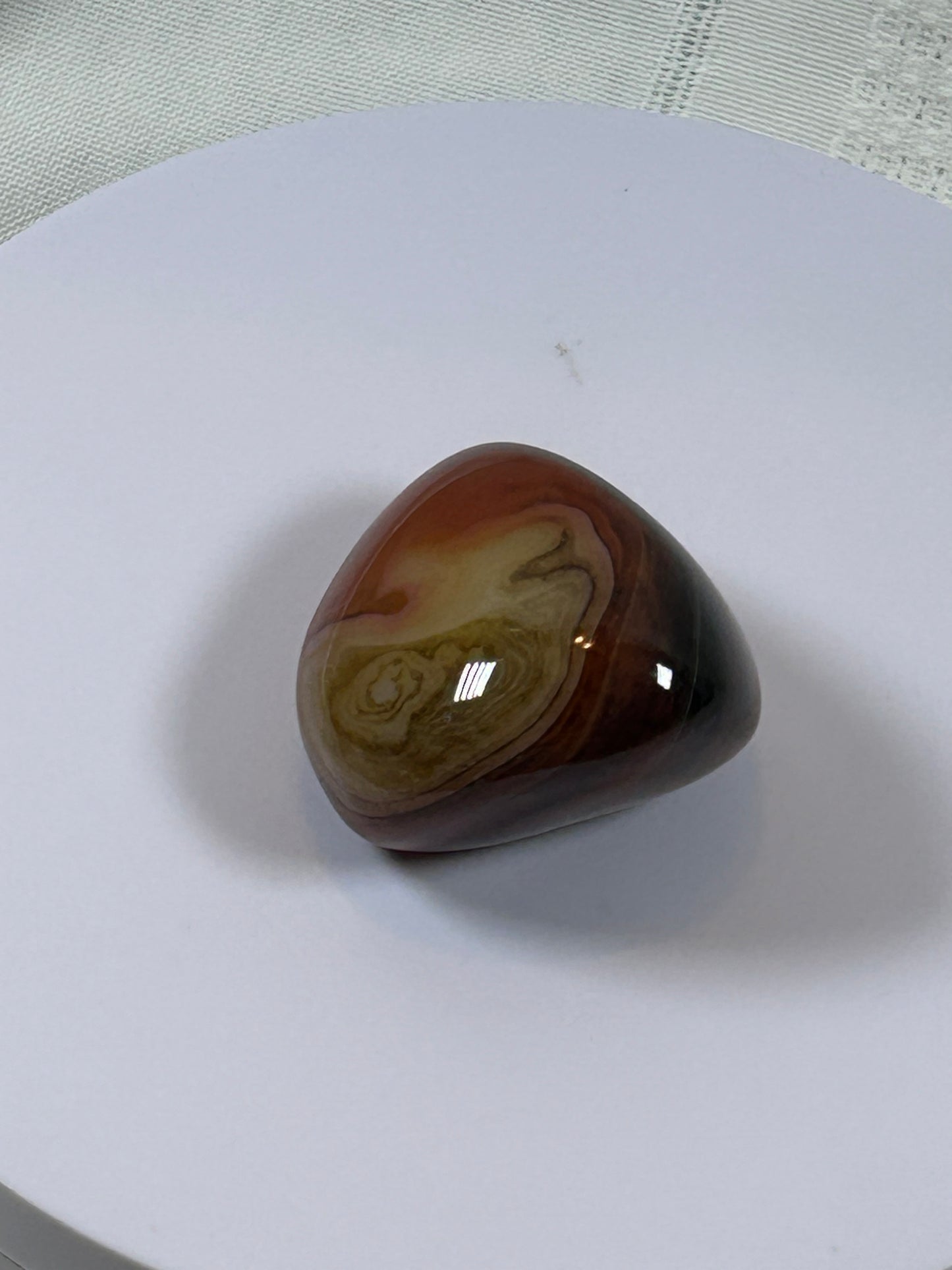 (#115) - CARNELIAN PALM STONE POLISHED - NEW