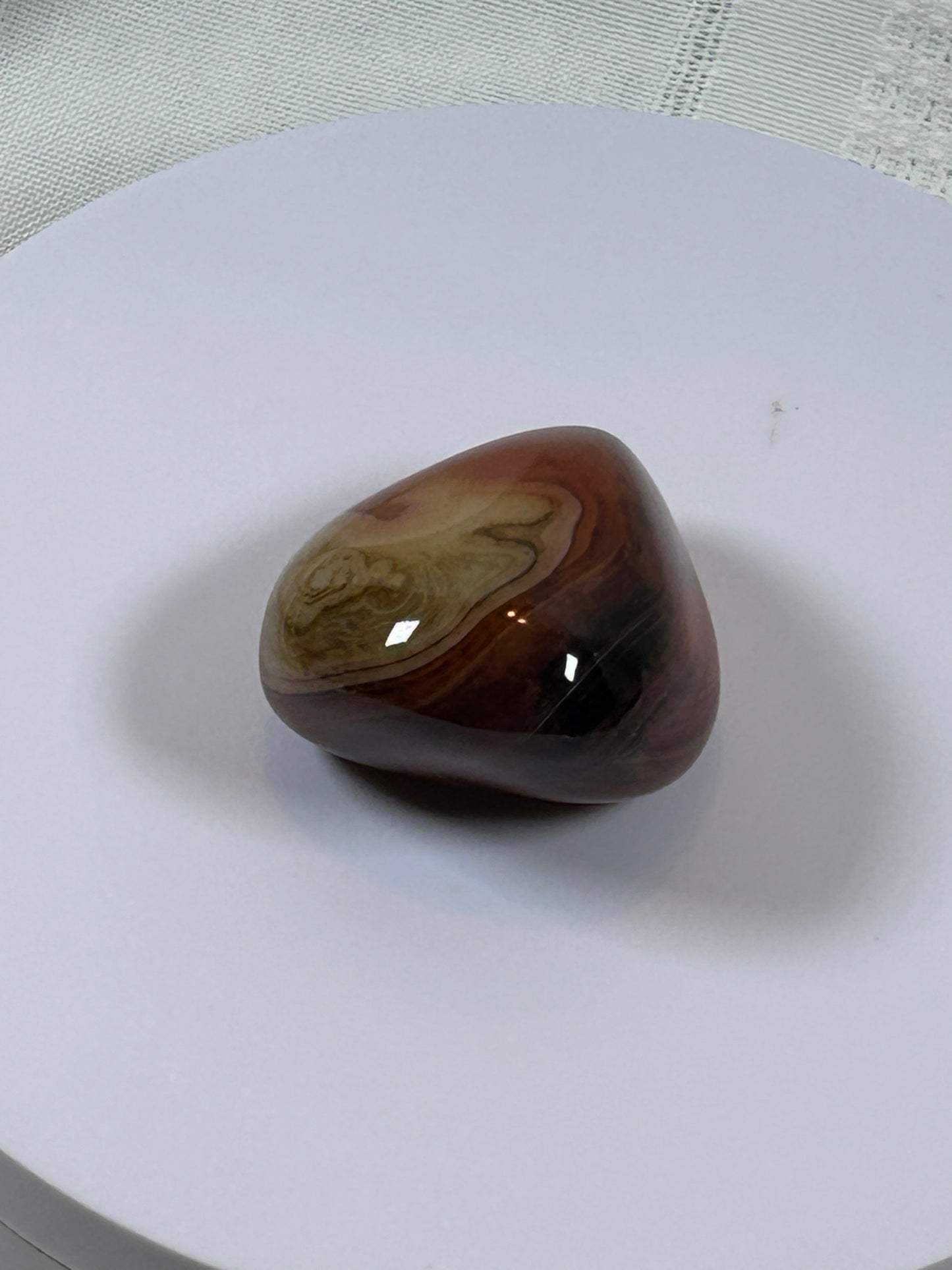 (#115) - CARNELIAN PALM STONE POLISHED - NEW