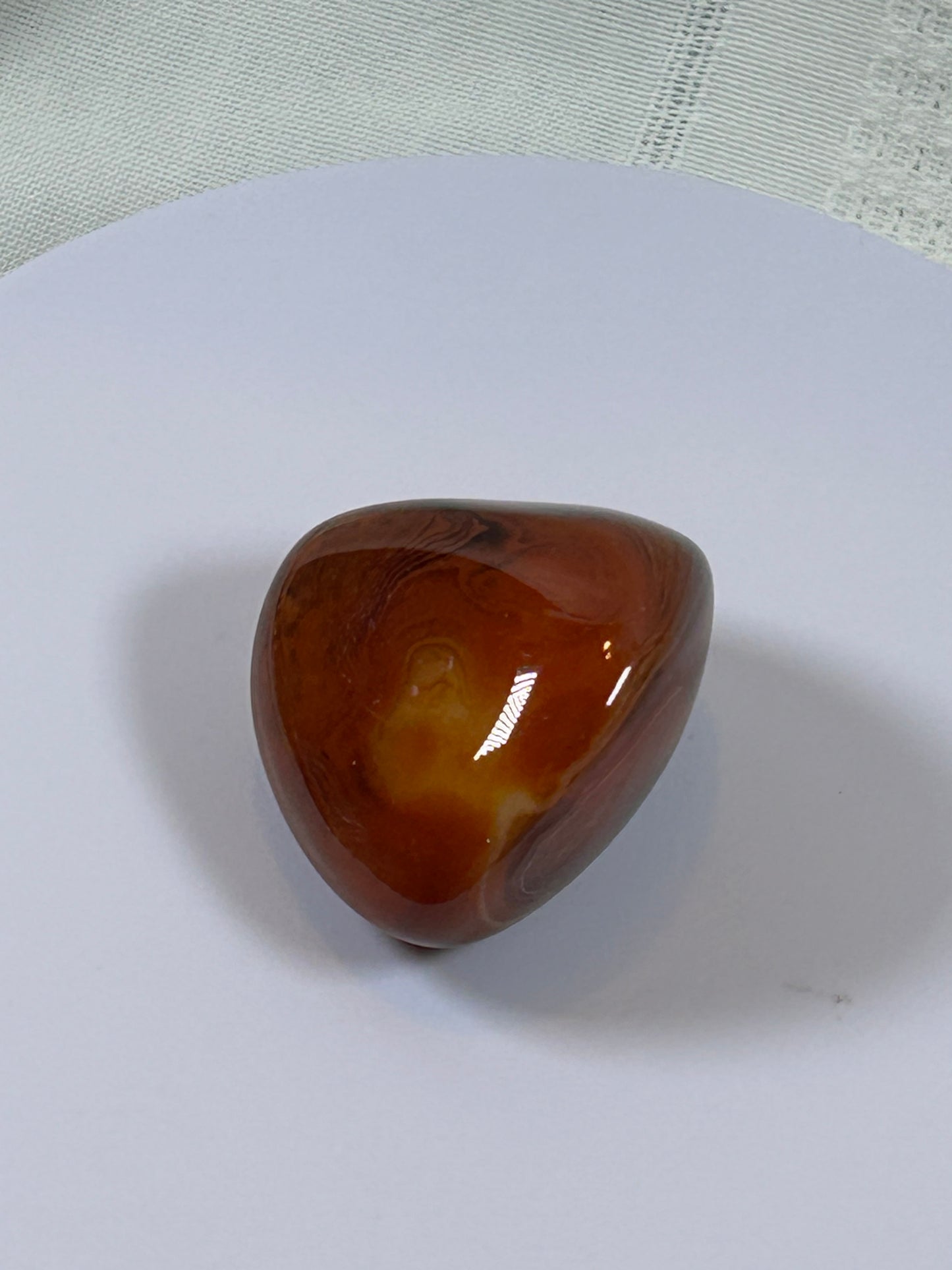(#115) - CARNELIAN PALM STONE POLISHED - NEW