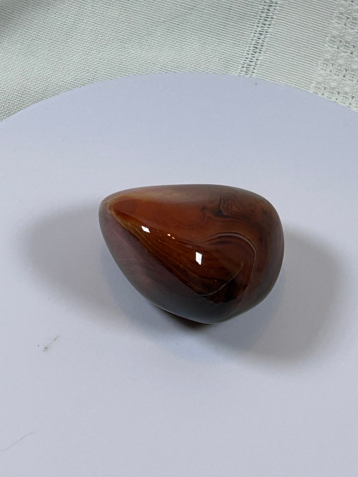 (#115) - CARNELIAN PALM STONE POLISHED - NEW