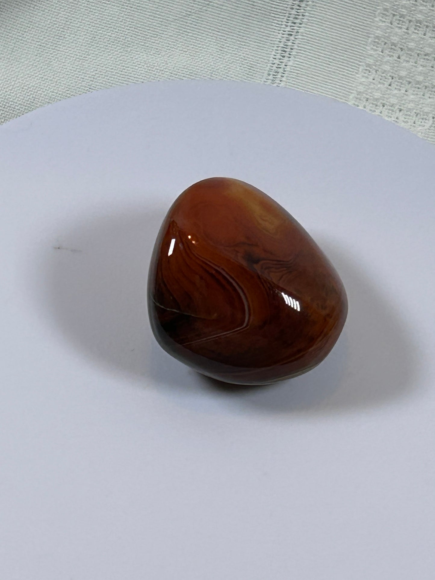 (#115) - CARNELIAN PALM STONE POLISHED - NEW