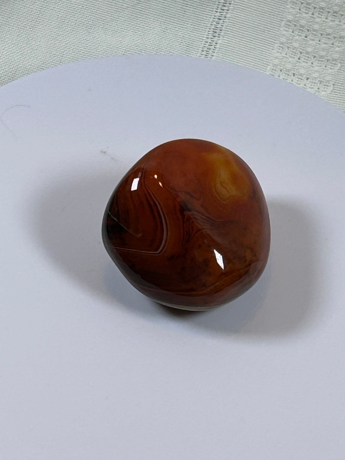 (#115) - CARNELIAN PALM STONE POLISHED - NEW