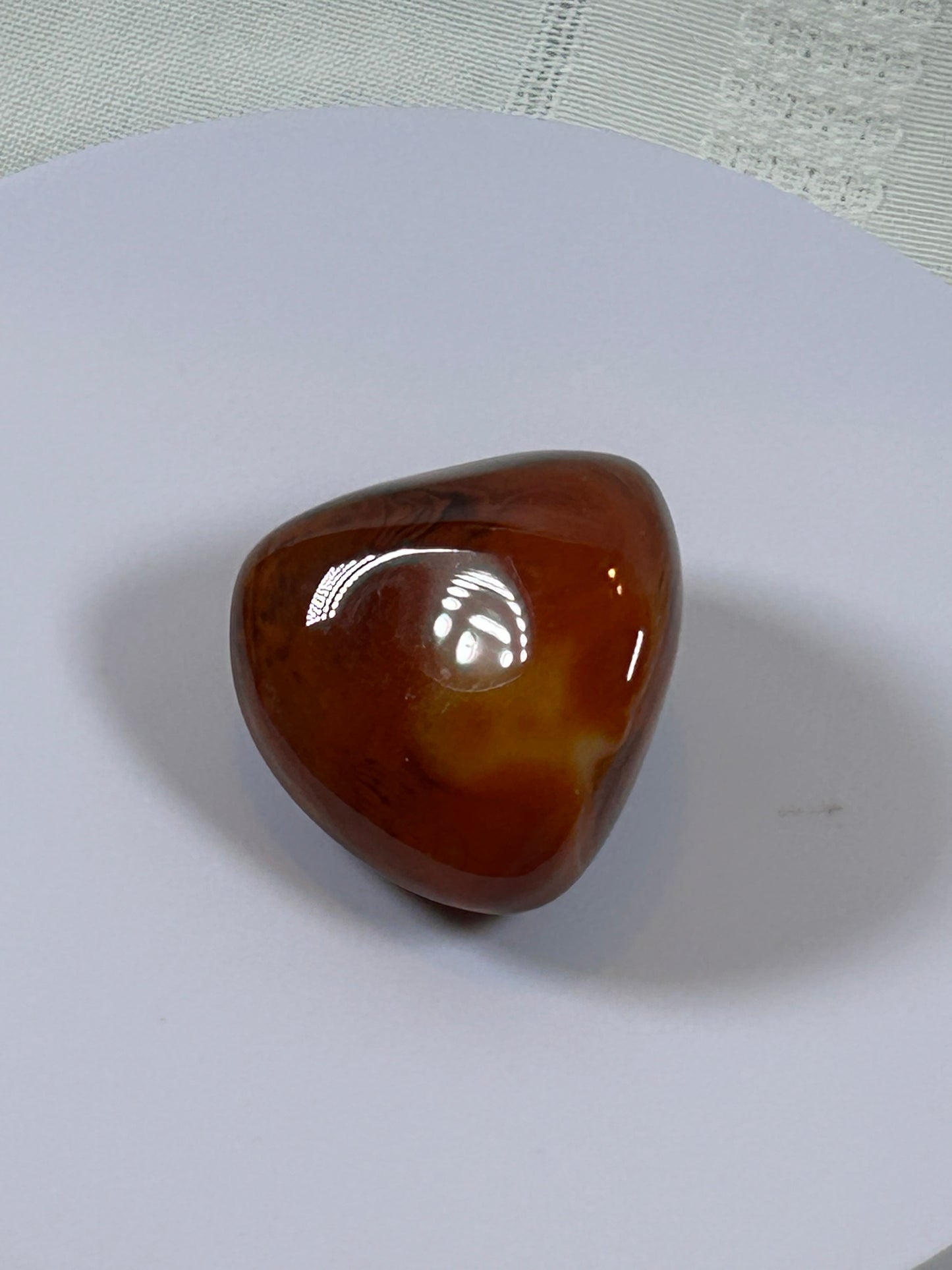 (#115) - CARNELIAN PALM STONE POLISHED - NEW