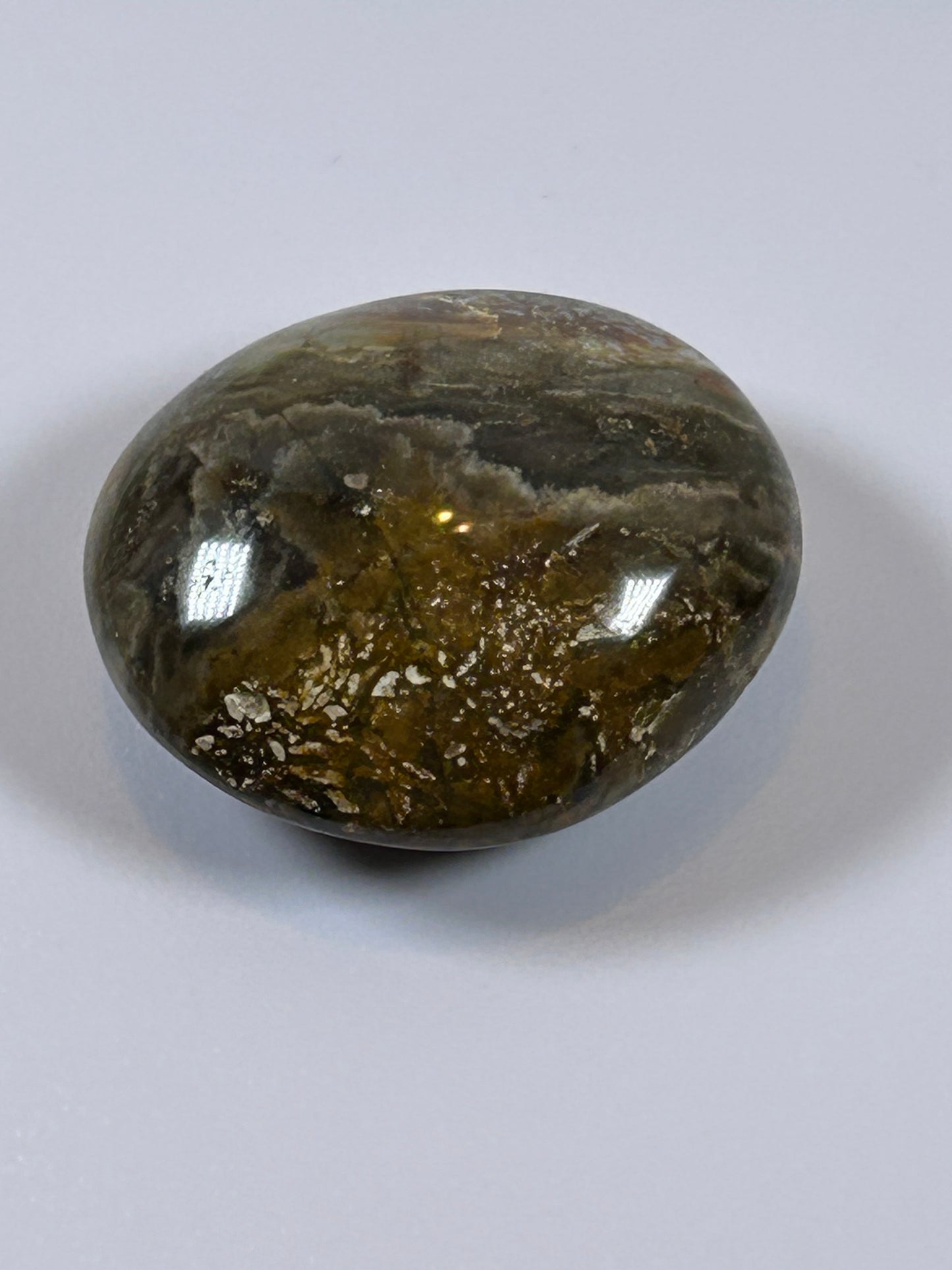 (#122) - OCEAN JASPER PALM STONE POLISHED - NEW