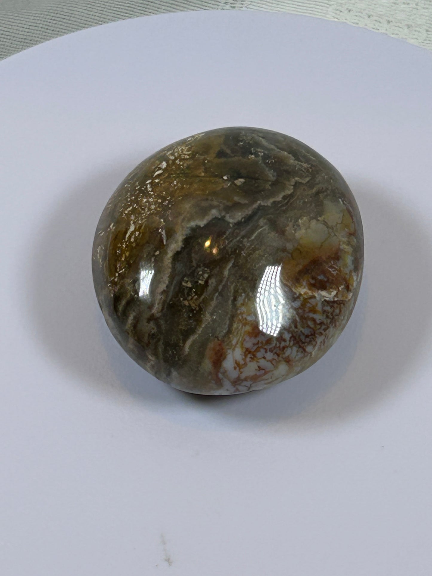 (#122) - OCEAN JASPER PALM STONE POLISHED - NEW