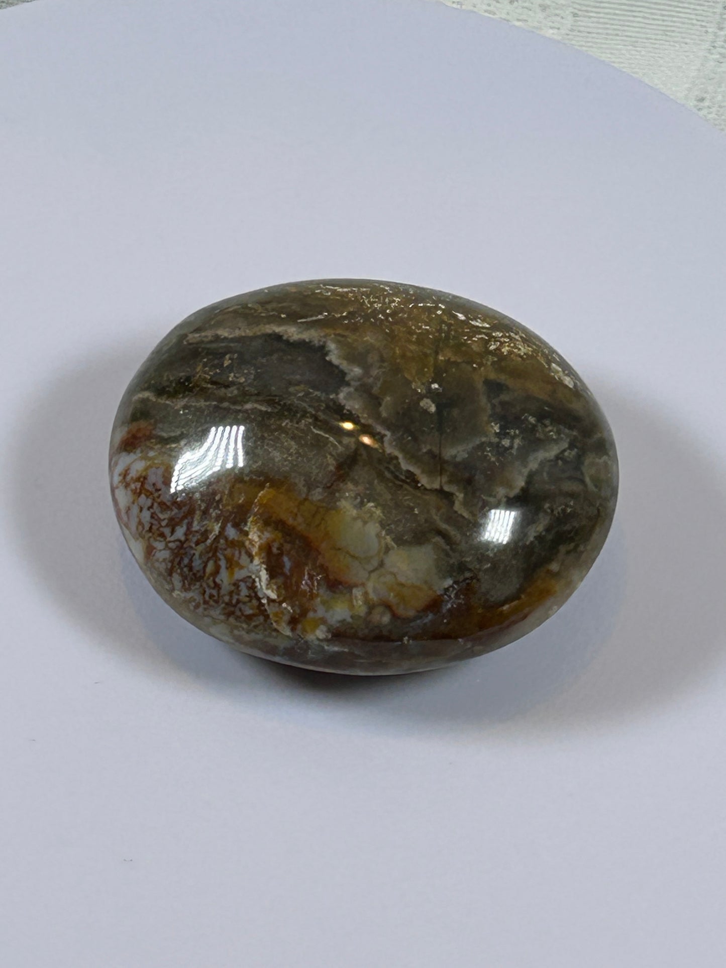 (#122) - OCEAN JASPER PALM STONE POLISHED - NEW