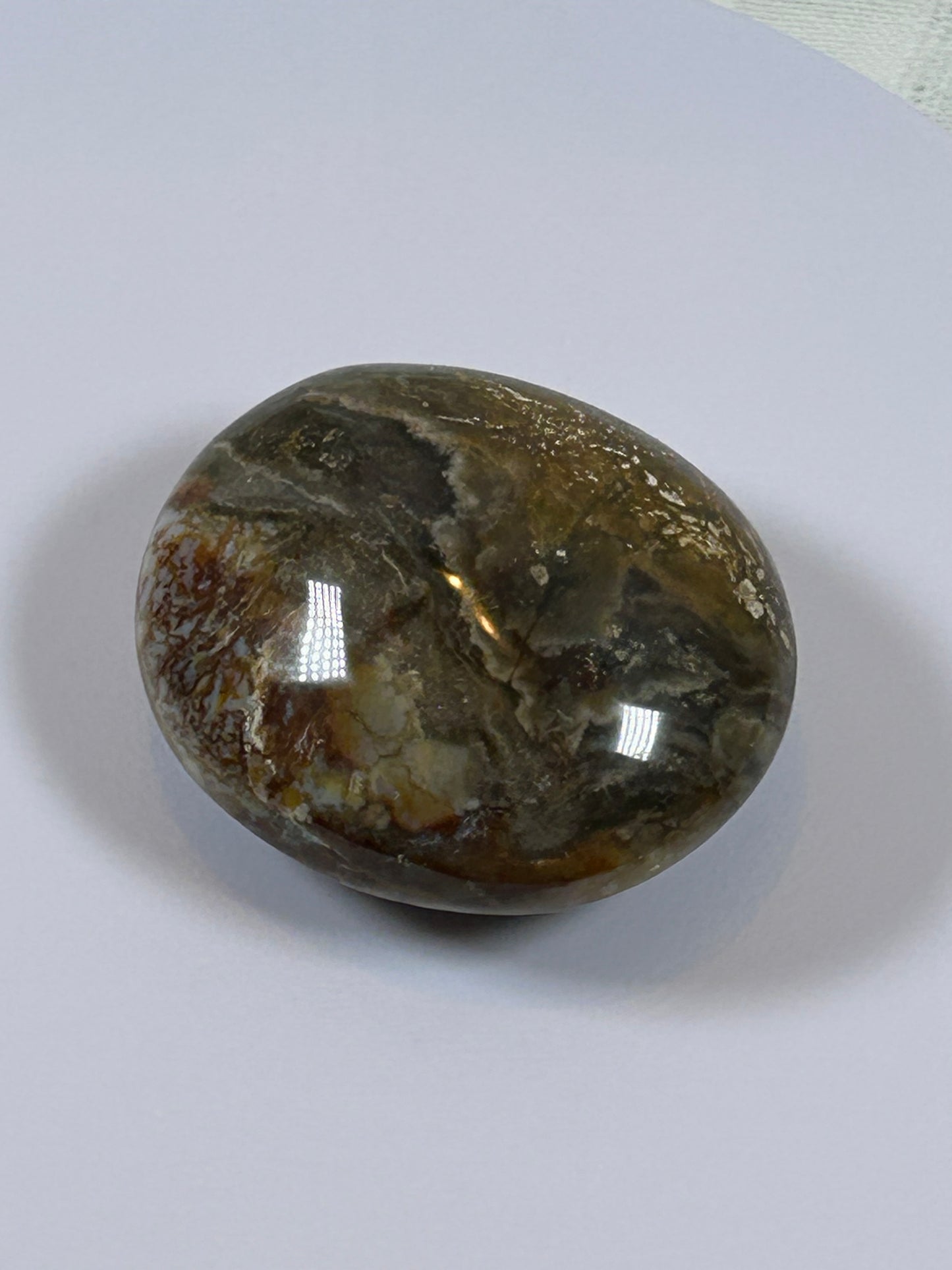 (#122) - OCEAN JASPER PALM STONE POLISHED - NEW