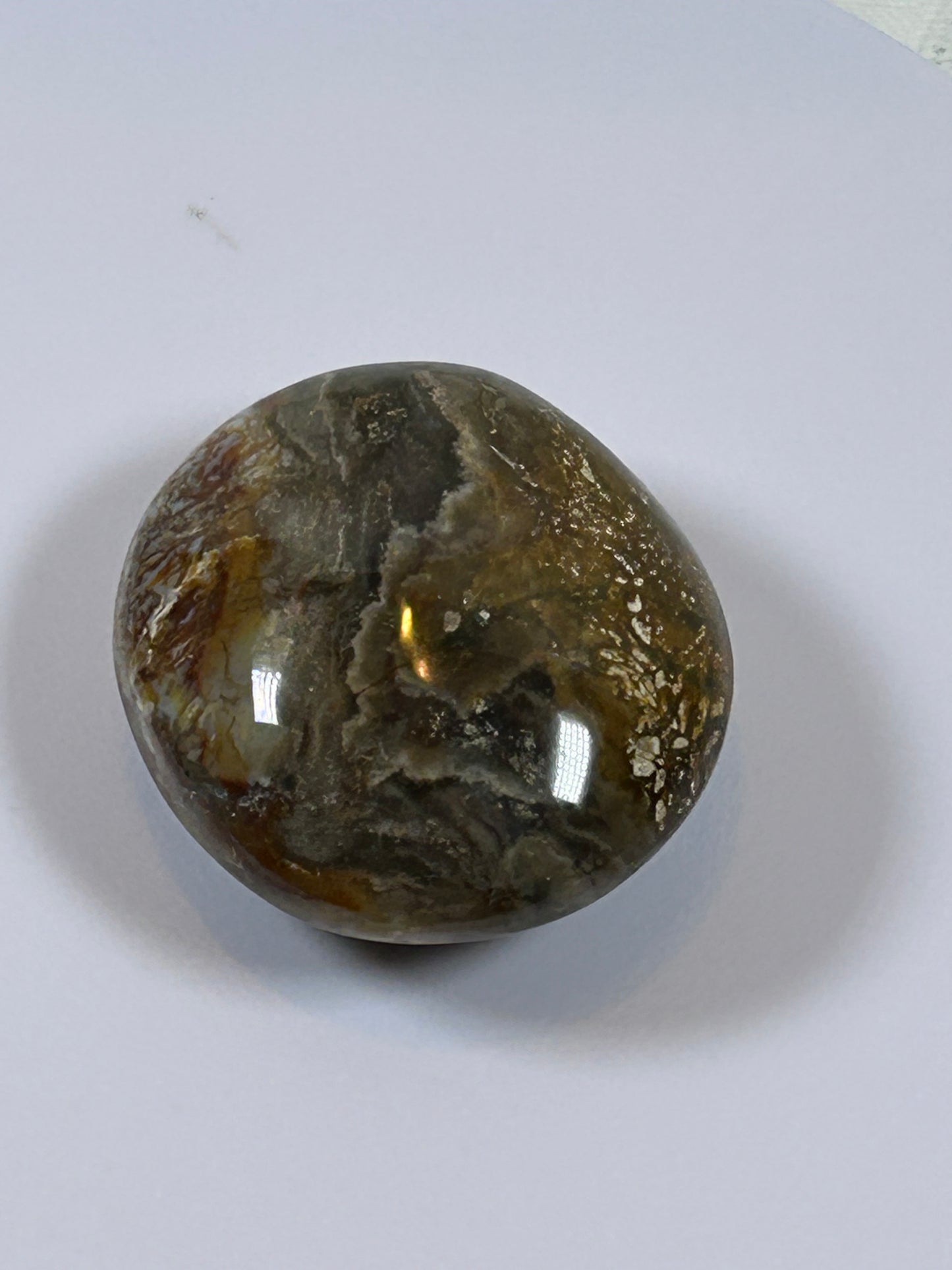 (#122) - OCEAN JASPER PALM STONE POLISHED - NEW