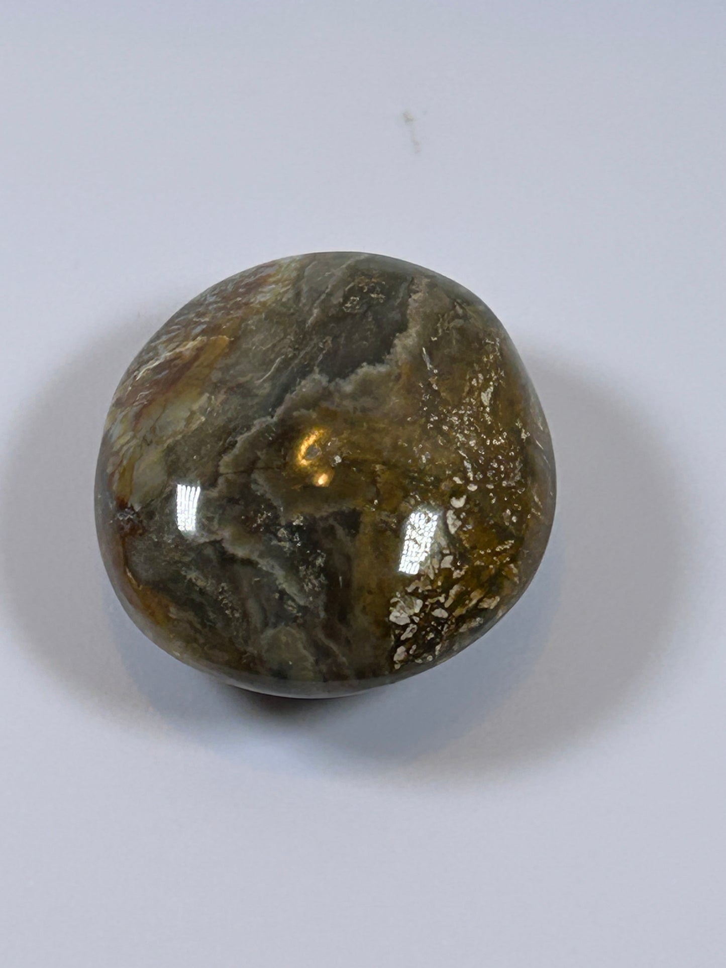 (#122) - OCEAN JASPER PALM STONE POLISHED - NEW