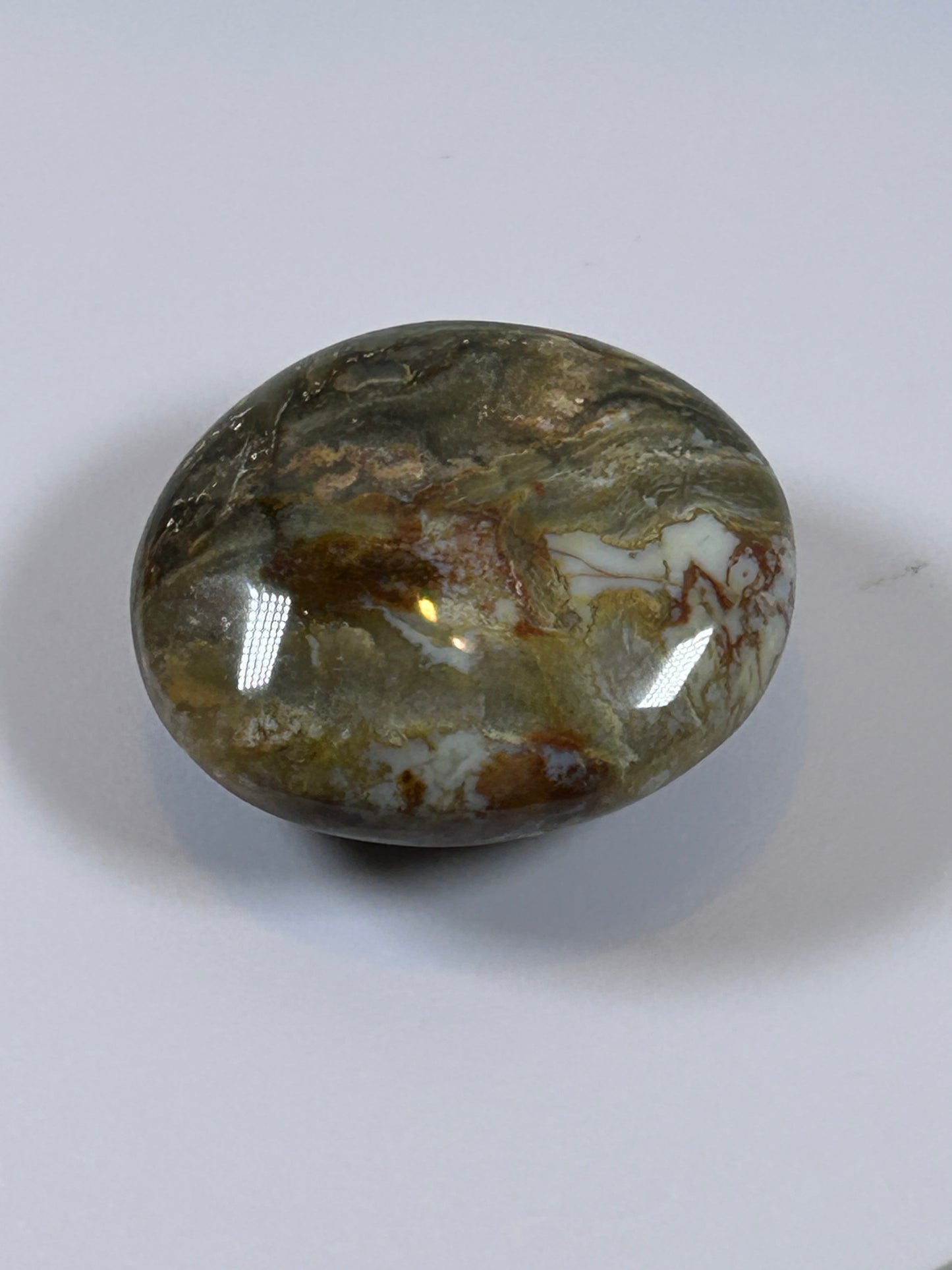(#122) - OCEAN JASPER PALM STONE POLISHED - NEW