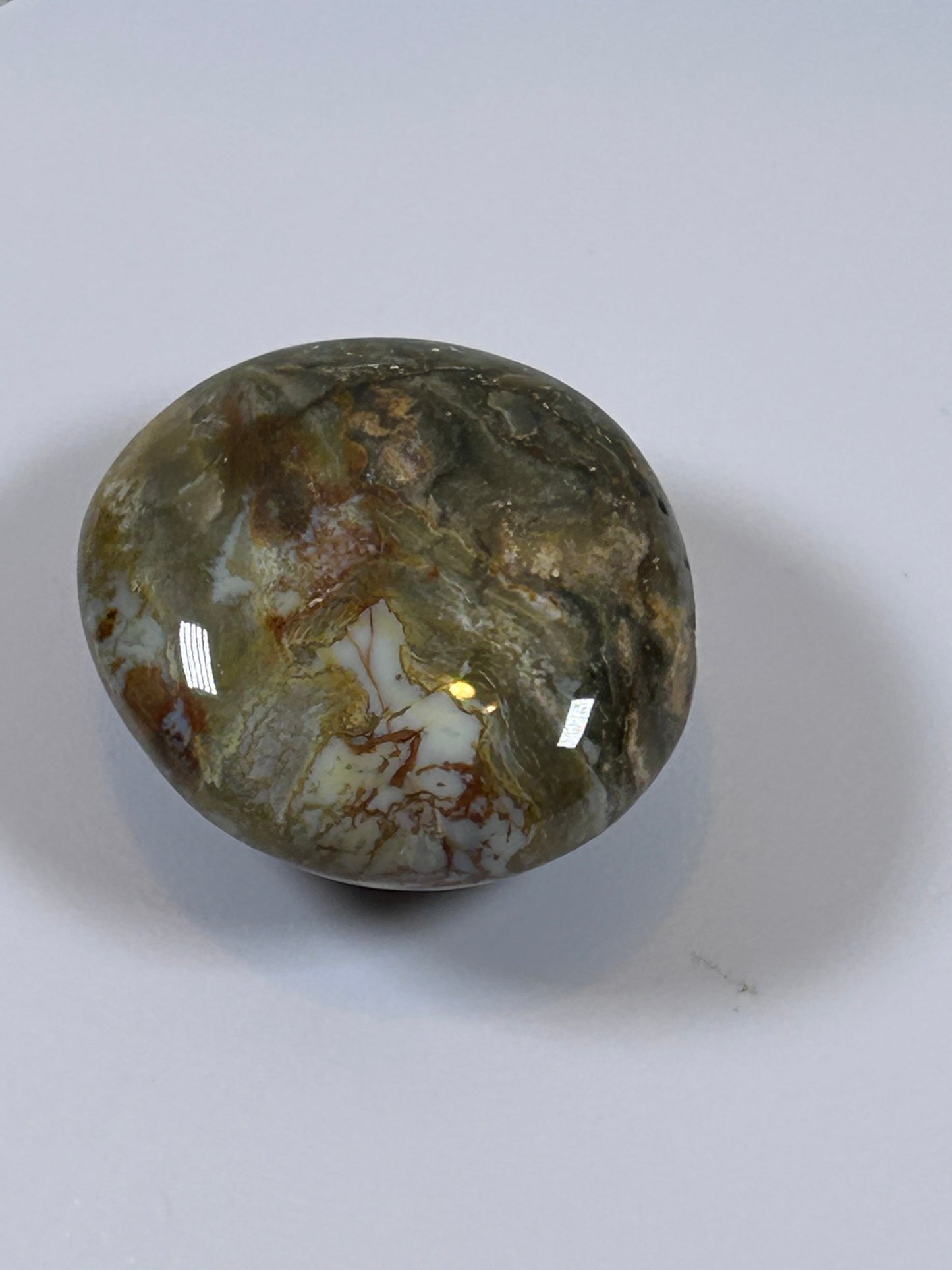 (#122) - OCEAN JASPER PALM STONE POLISHED - NEW