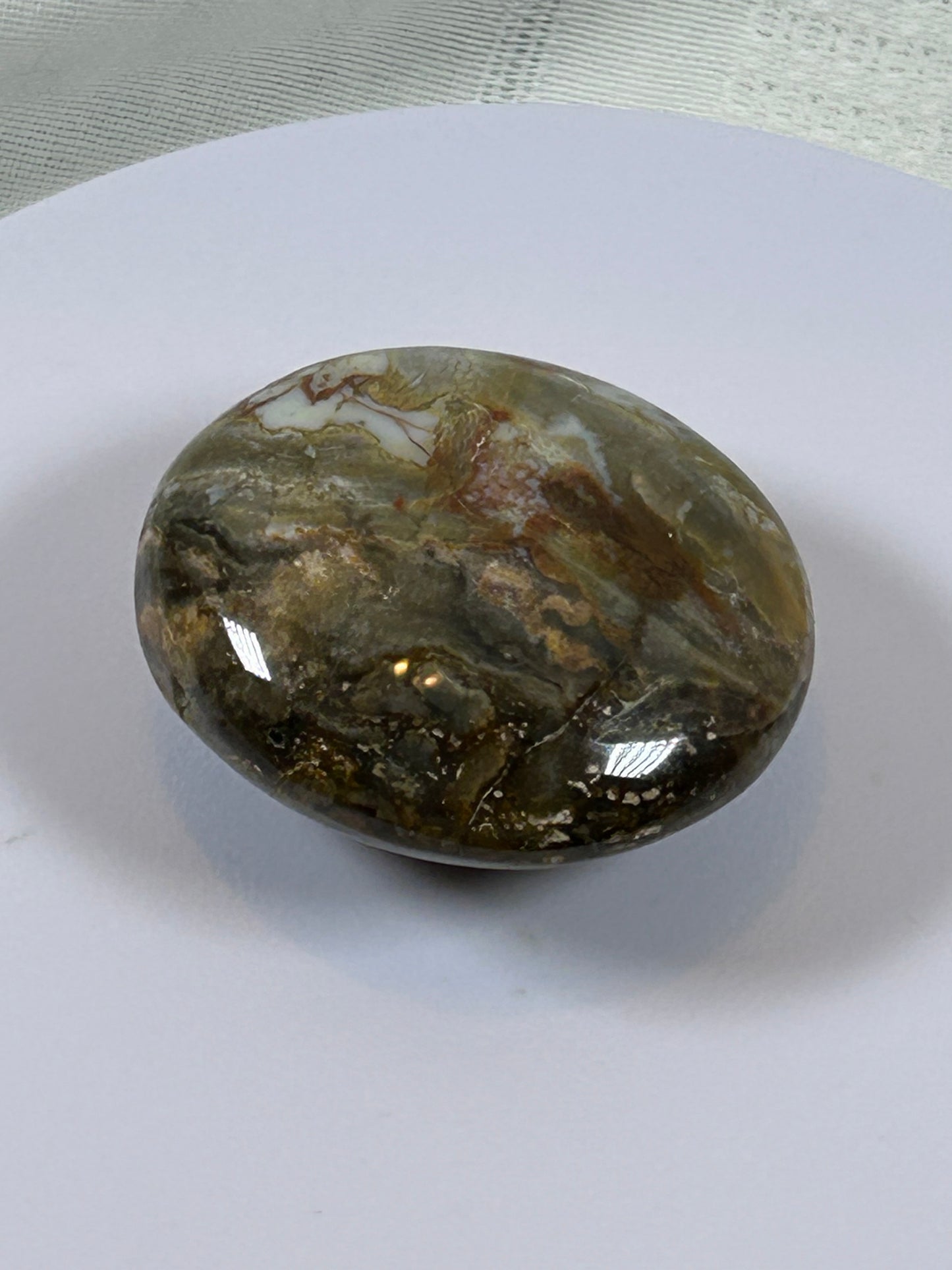 (#122) - OCEAN JASPER PALM STONE POLISHED - NEW