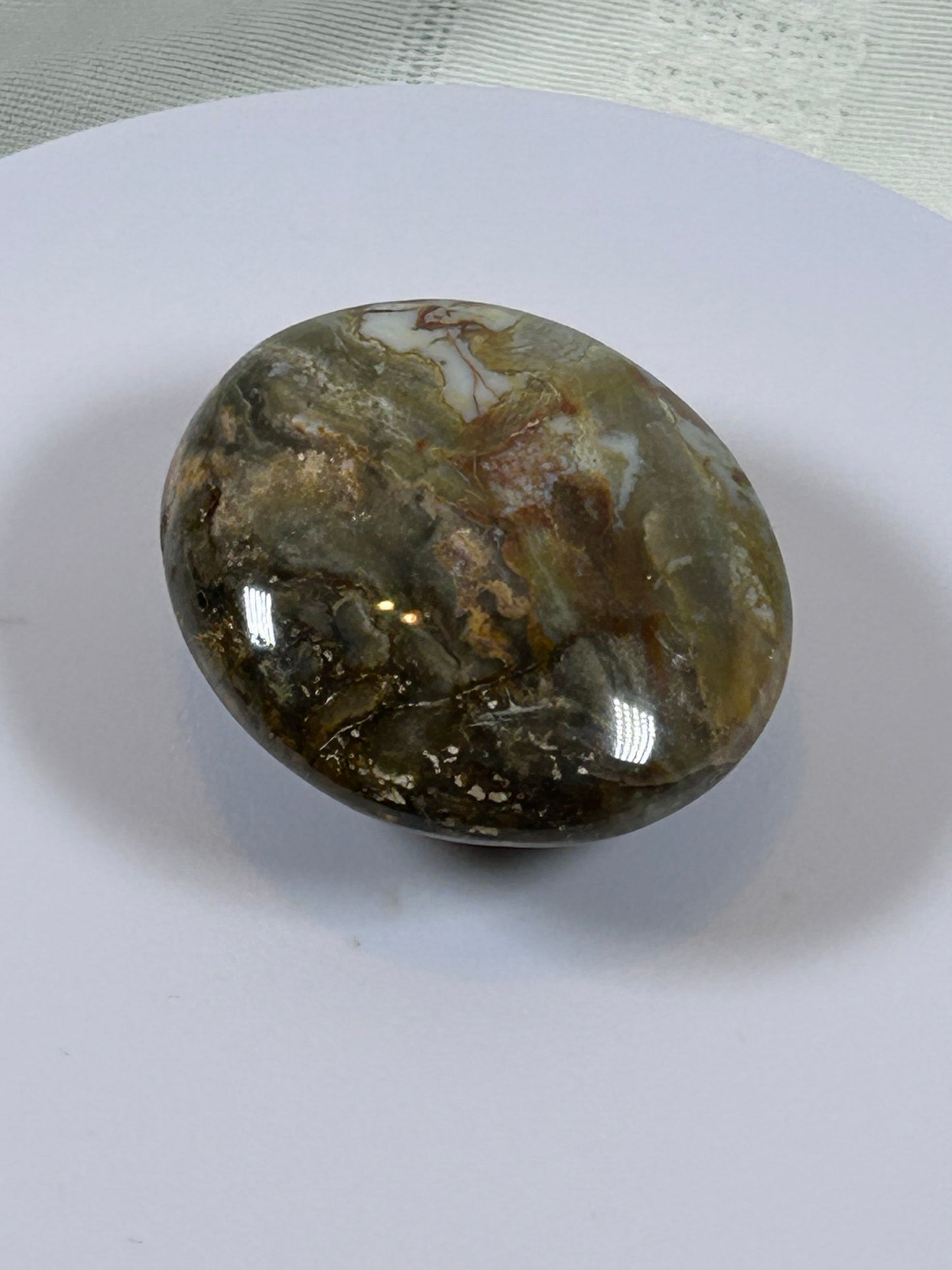 (#122) - OCEAN JASPER PALM STONE POLISHED - NEW