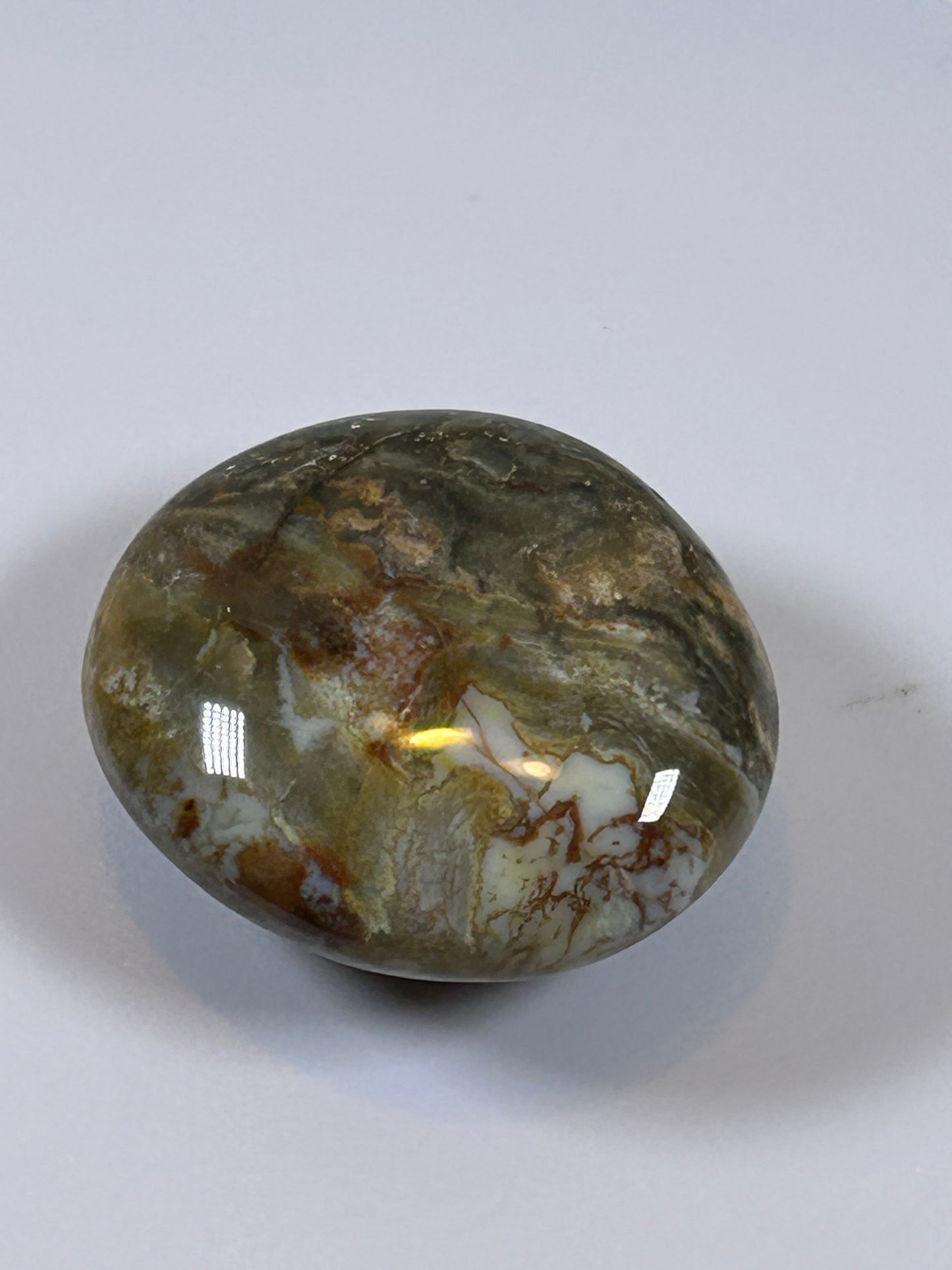 (#122) - OCEAN JASPER PALM STONE POLISHED - NEW