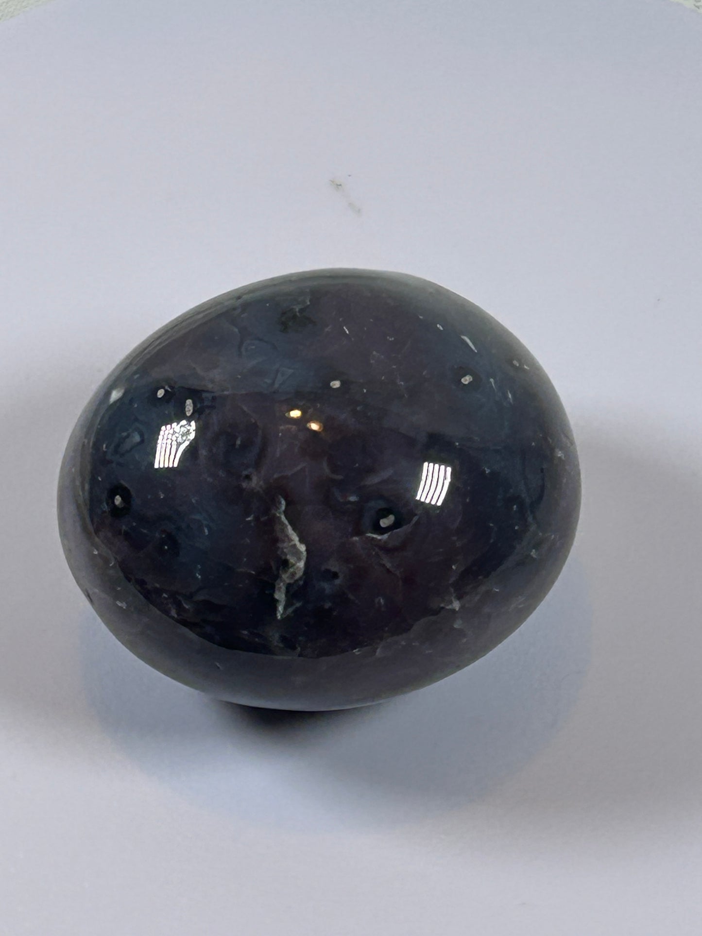 (#130) - AGATE PALM STONE POLISHED - NEW