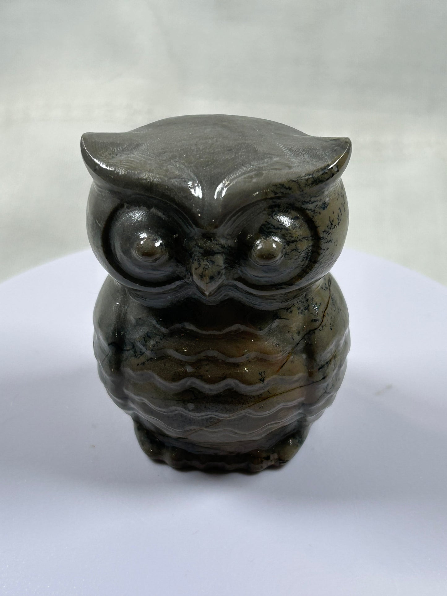 (#1060) - Jasper Owl - New
