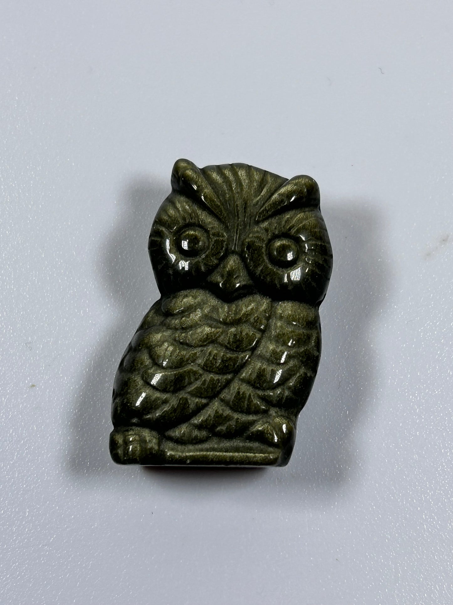 (#1067) - Ammonite Owl - New