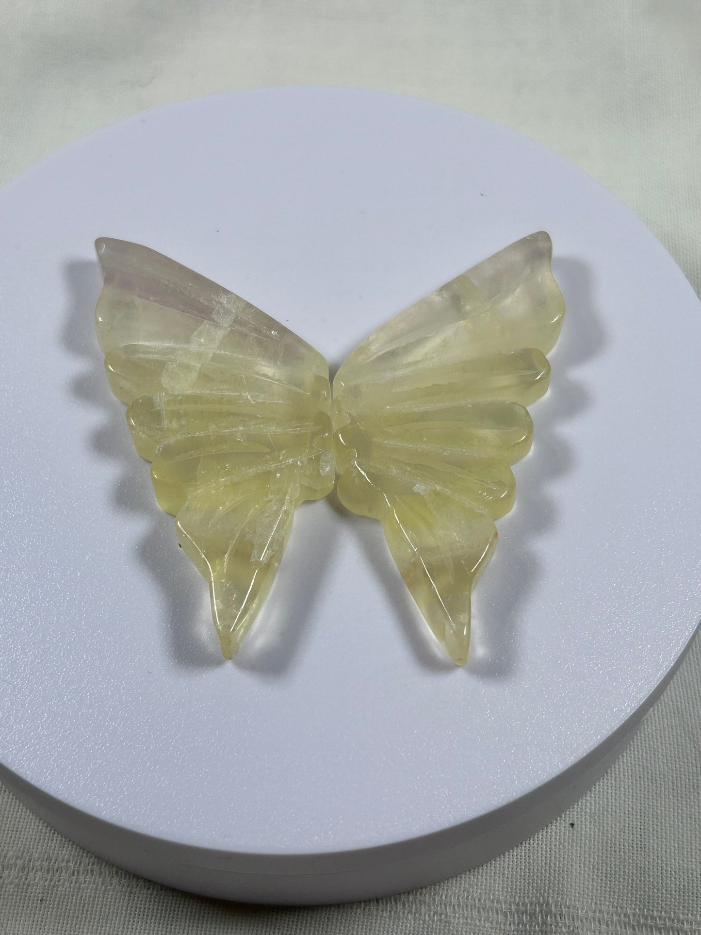 (#1186) - Calcite Wings - New