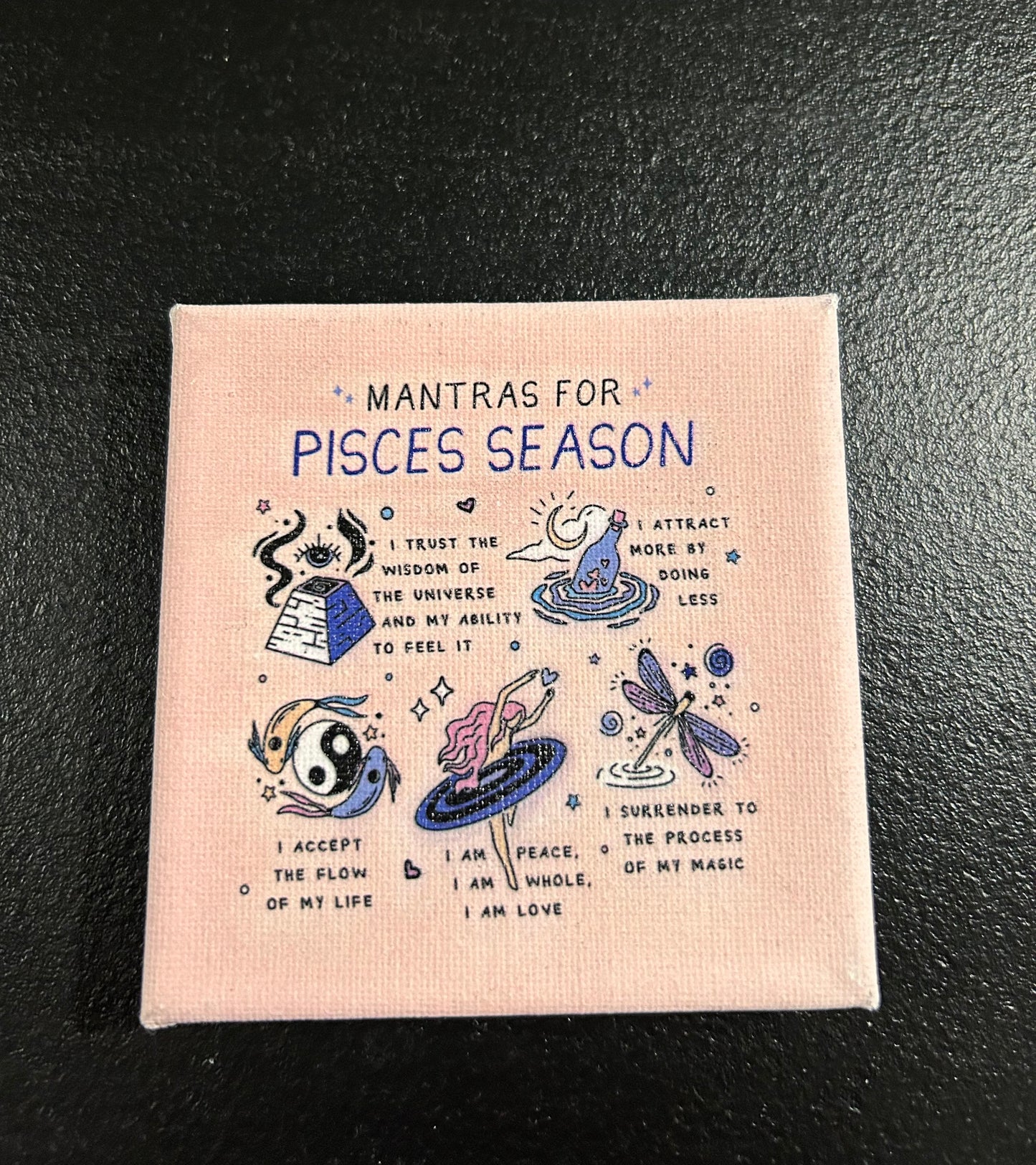 (#1263) - Pisces Mantra Small Framed Canvas - New
