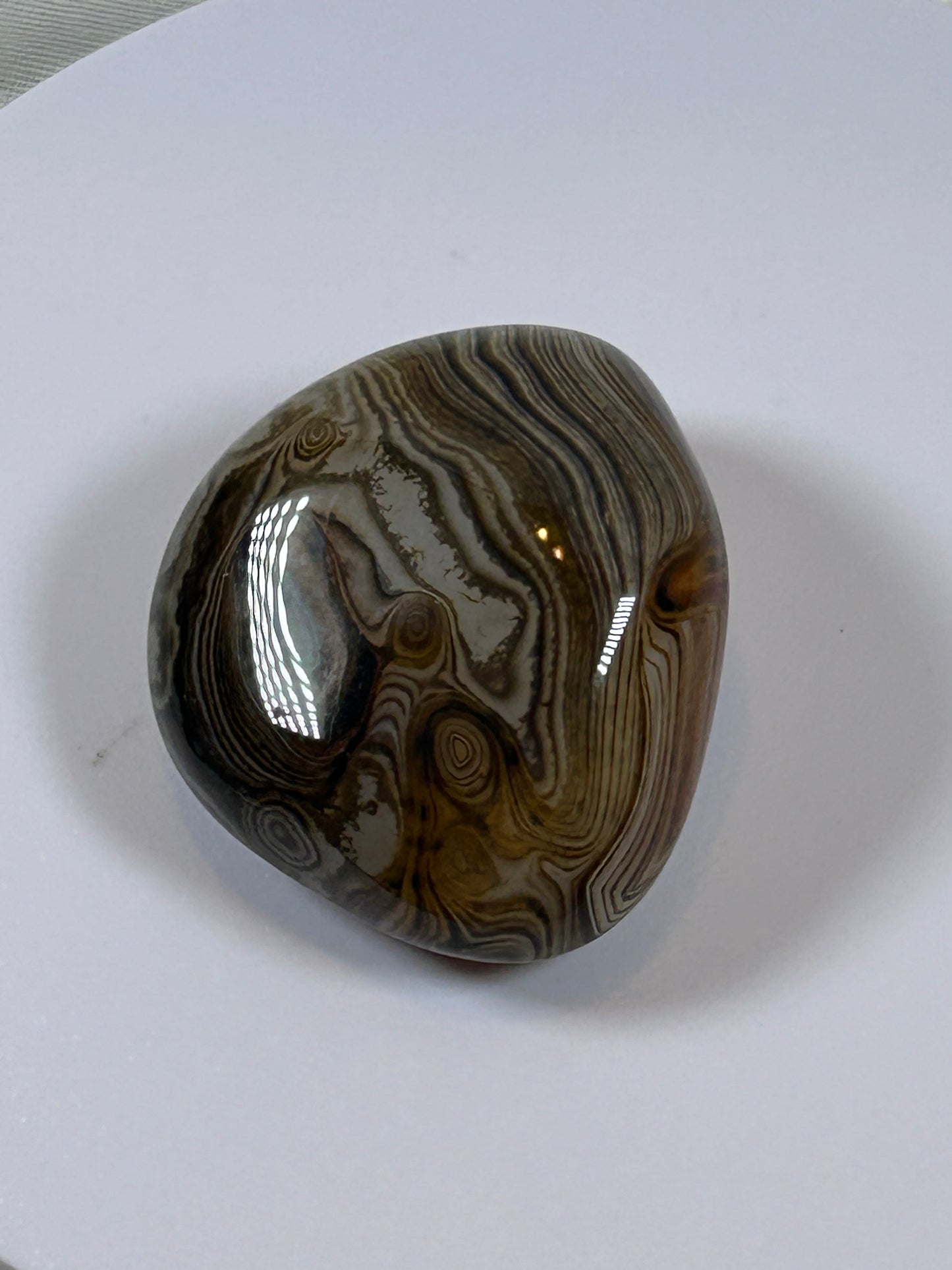 (#110) - SARDONYX PALM STONE POLISHED - NEW