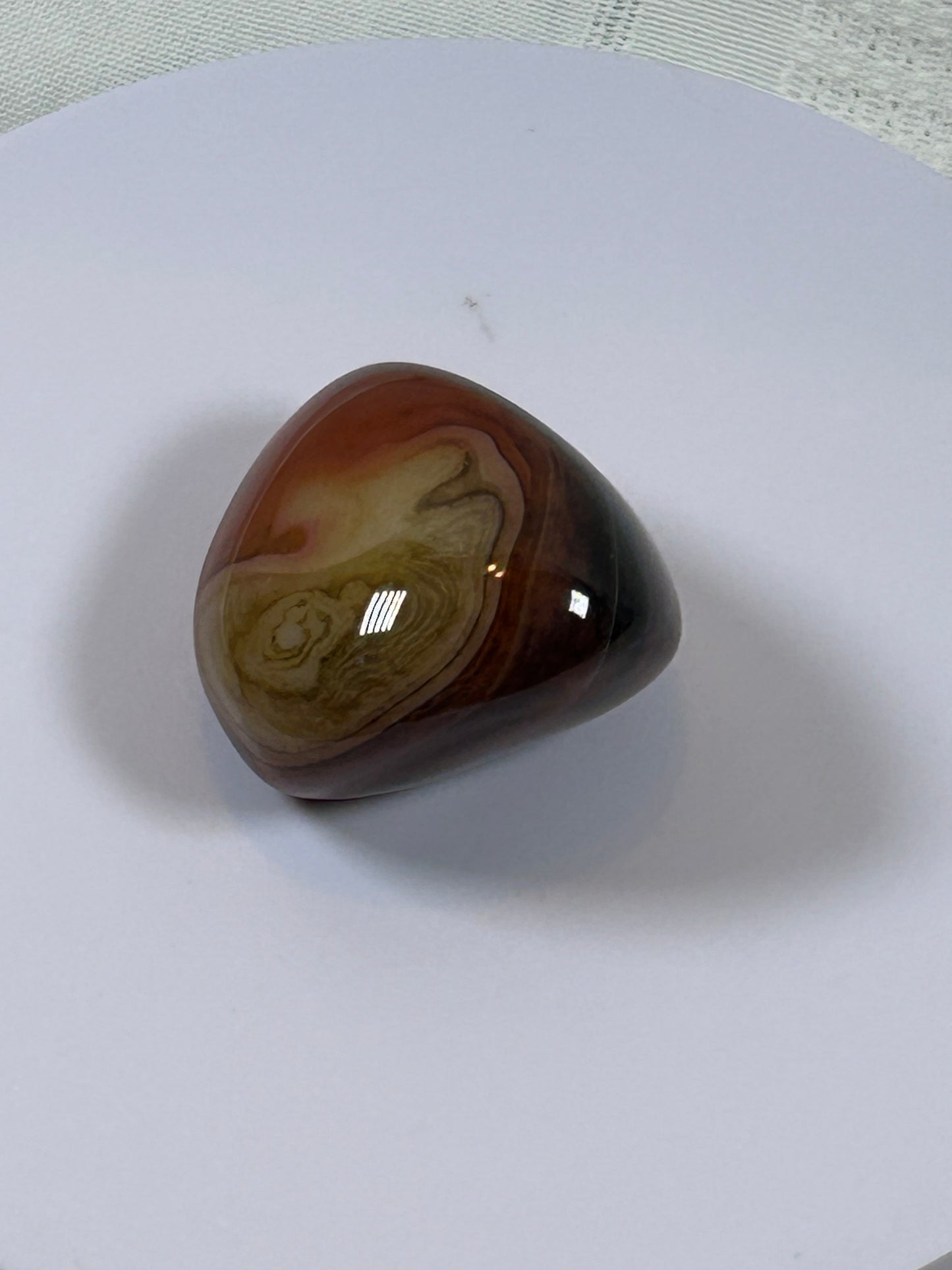 (#115) - CARNELIAN PALM STONE POLISHED - NEW