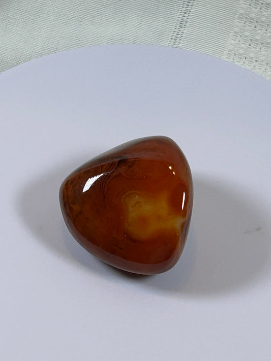(#115) - CARNELIAN PALM STONE POLISHED - NEW