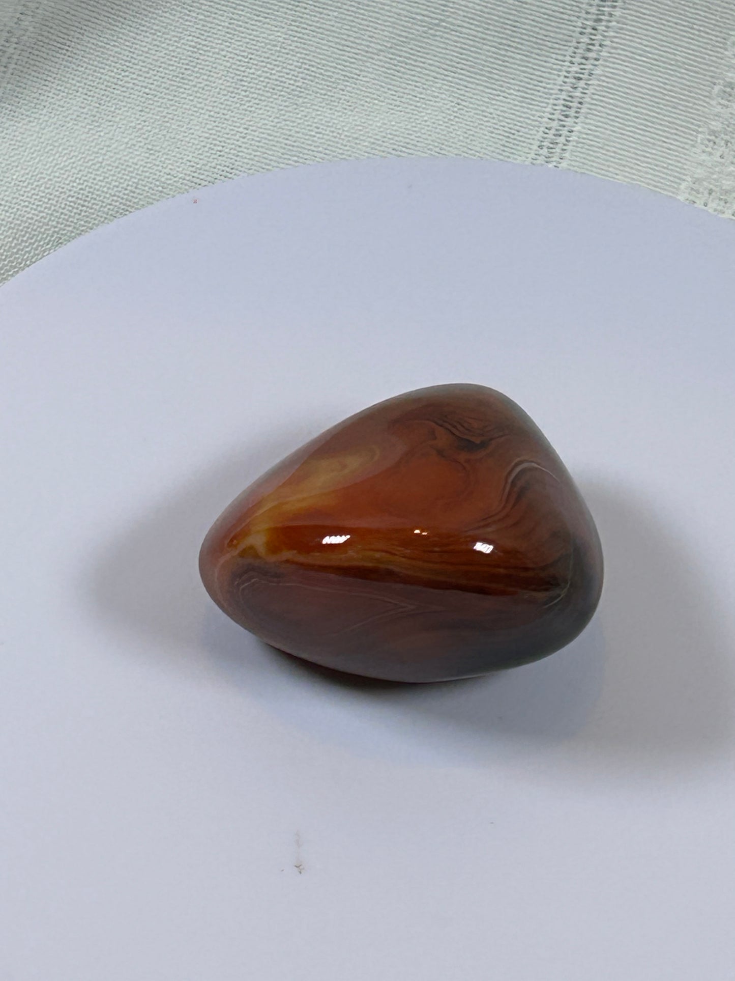 (#115) - CARNELIAN PALM STONE POLISHED - NEW