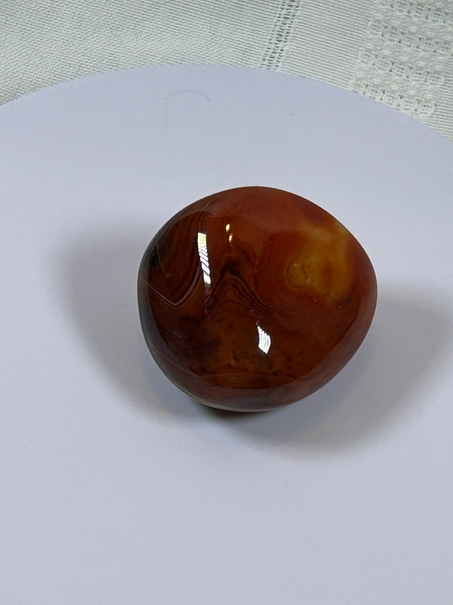 (#115) - CARNELIAN PALM STONE POLISHED - NEW