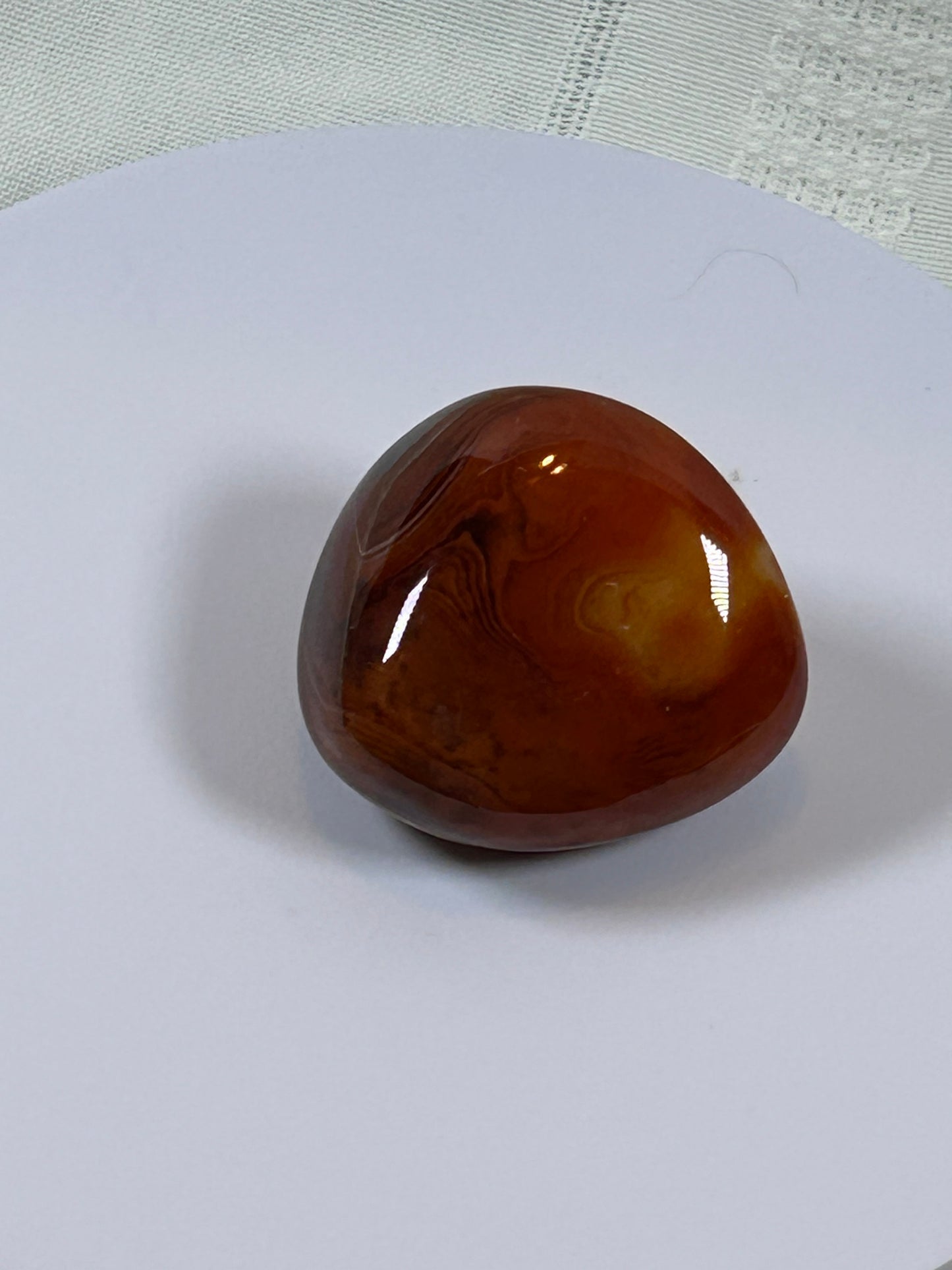 (#115) - CARNELIAN PALM STONE POLISHED - NEW