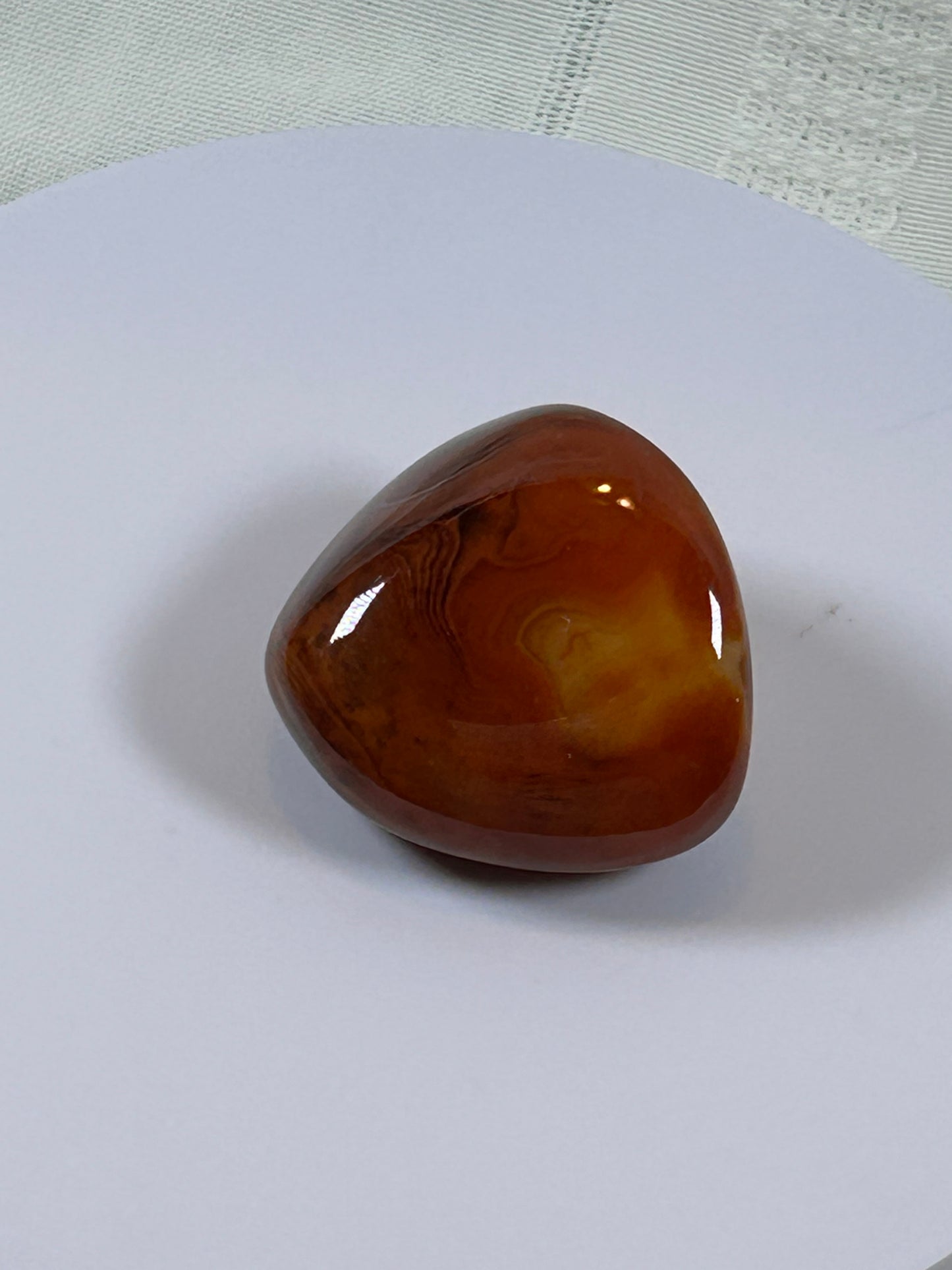 (#115) - CARNELIAN PALM STONE POLISHED - NEW