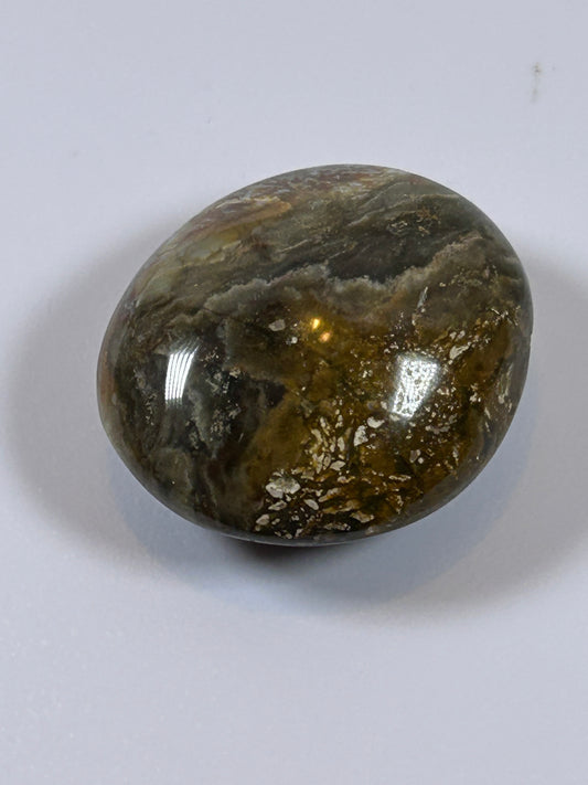 (#122) - OCEAN JASPER PALM STONE POLISHED - NEW