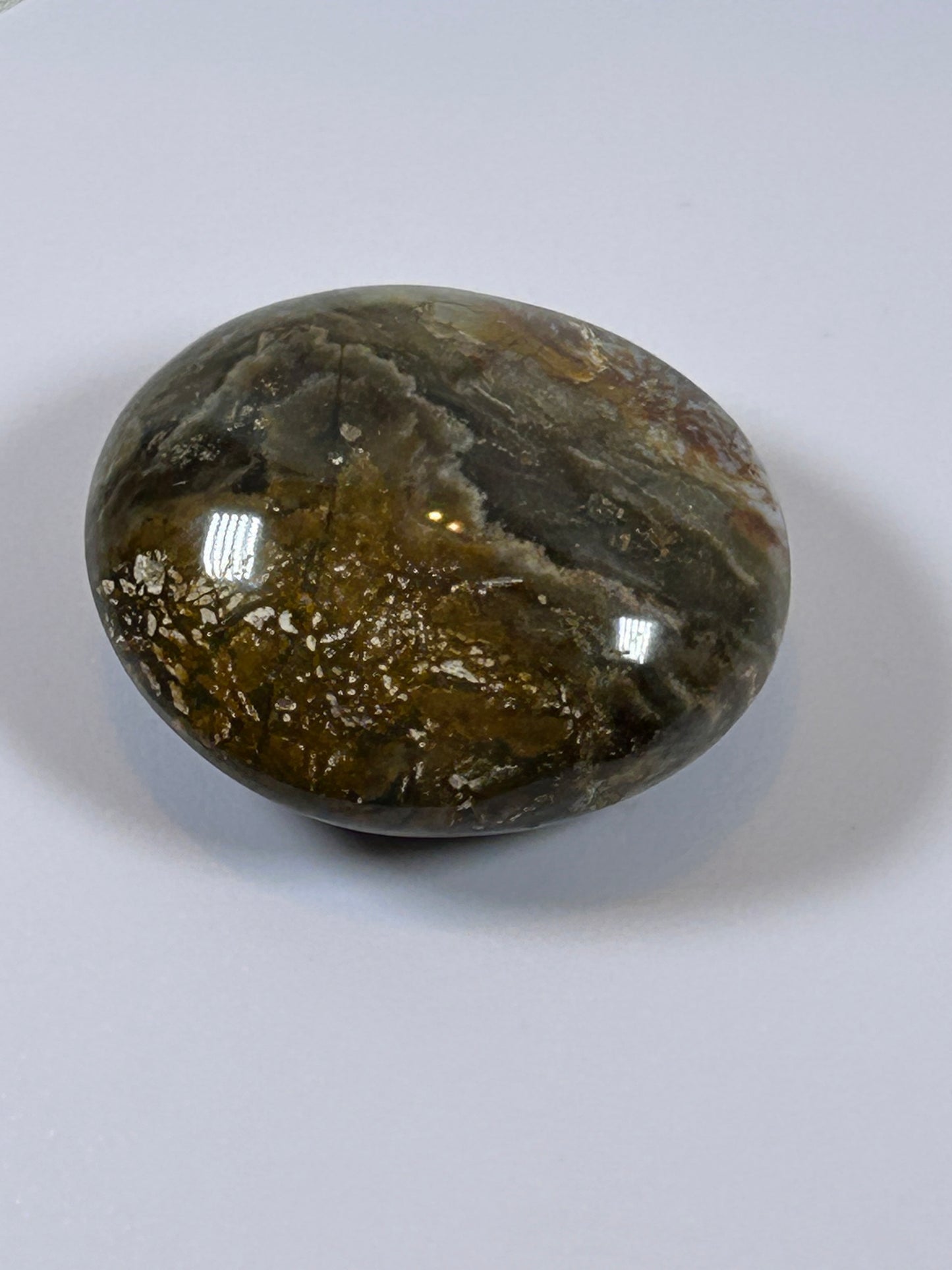 (#122) - OCEAN JASPER PALM STONE POLISHED - NEW