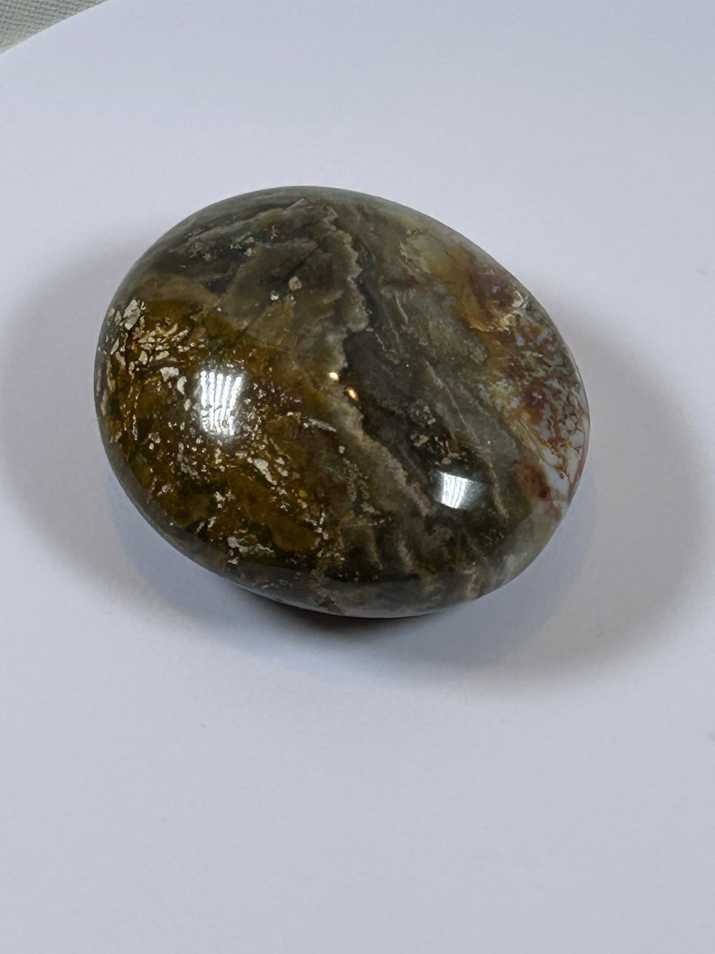 (#122) - OCEAN JASPER PALM STONE POLISHED - NEW