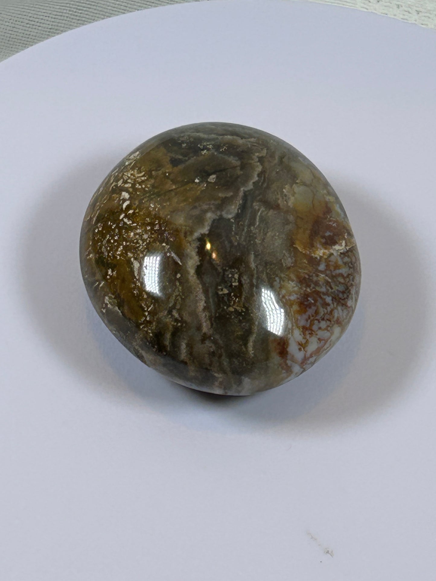 (#122) - OCEAN JASPER PALM STONE POLISHED - NEW