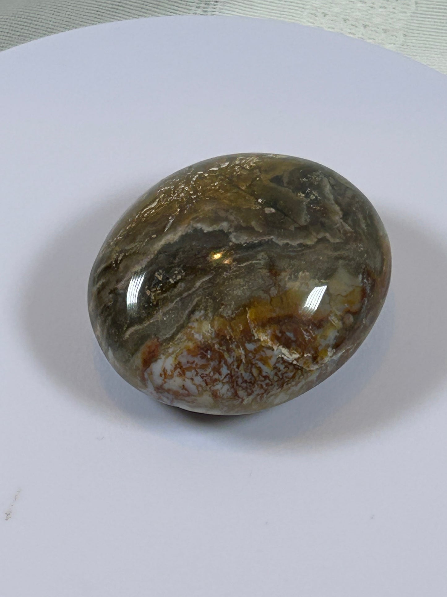 (#122) - OCEAN JASPER PALM STONE POLISHED - NEW